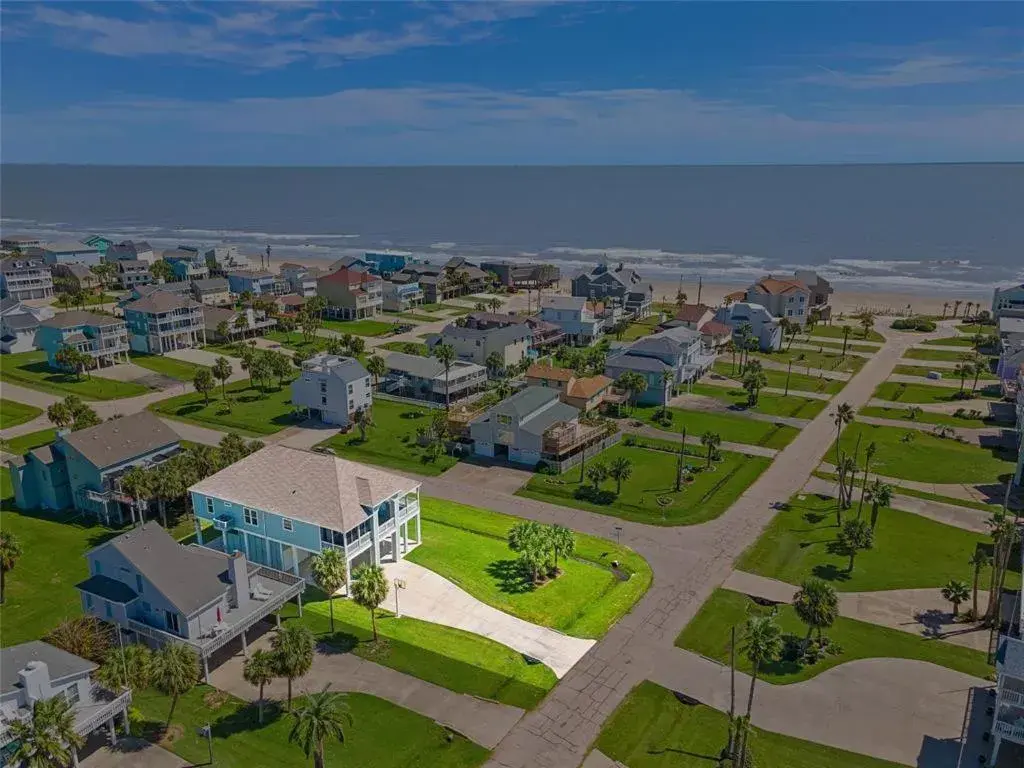 Sandpiper Treasure Sandpiper Treasure