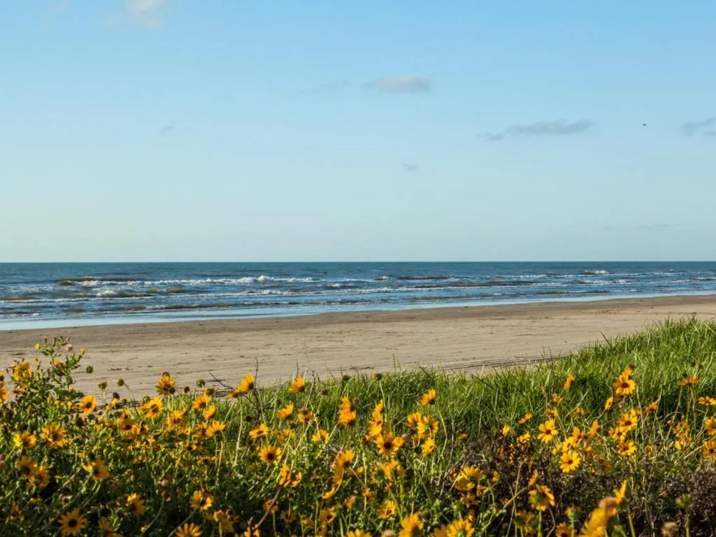 Beach in Once Upon a Tide
