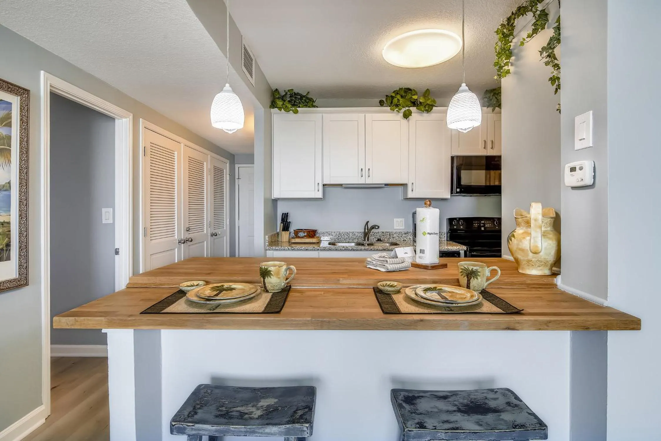 Galvestonian 409-Pelican Pathway