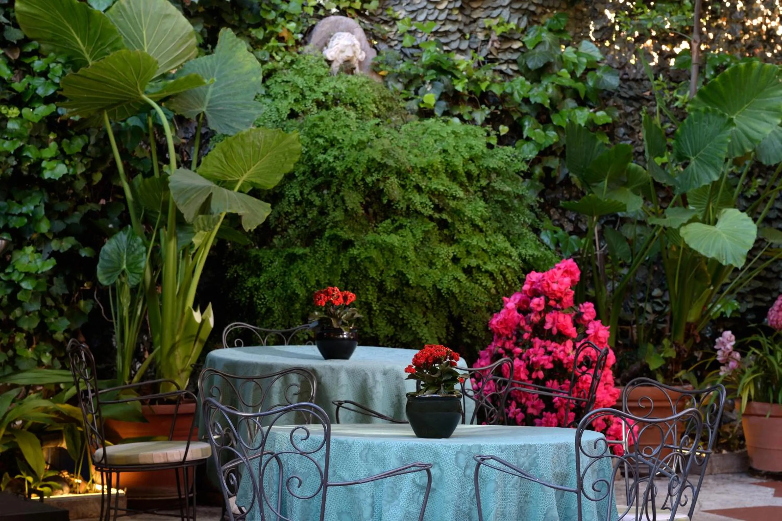 Garden in Hotel Giulio Cesare