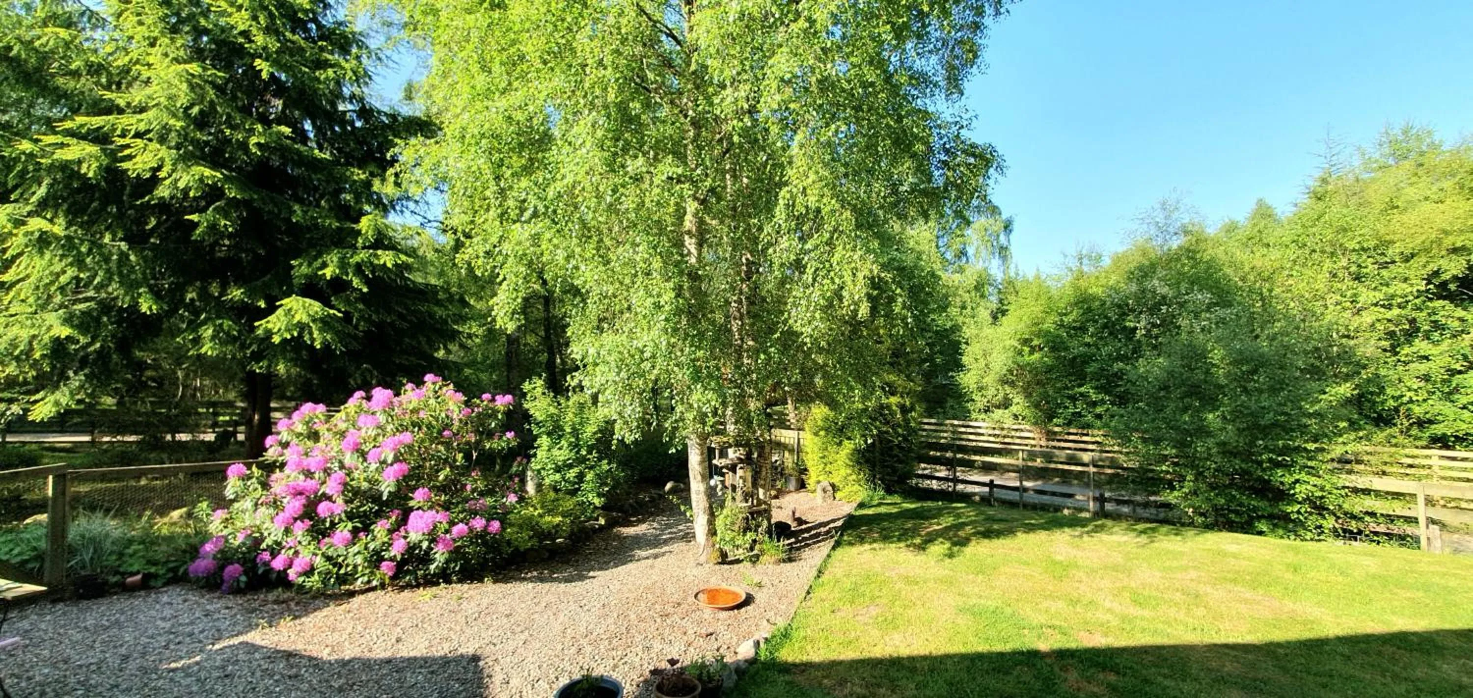 Spring in Torcroft Lodges