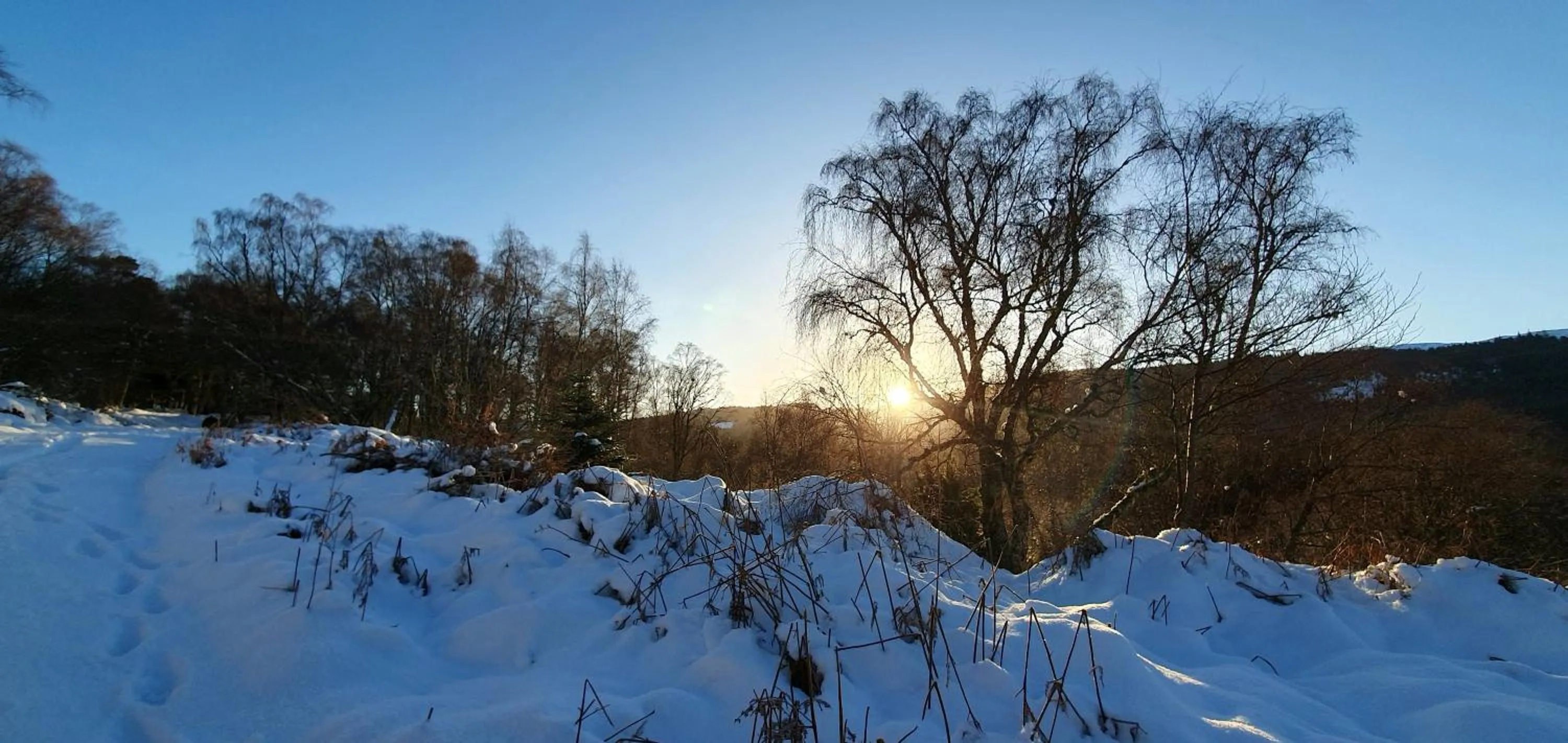 Day in Torcroft Lodges