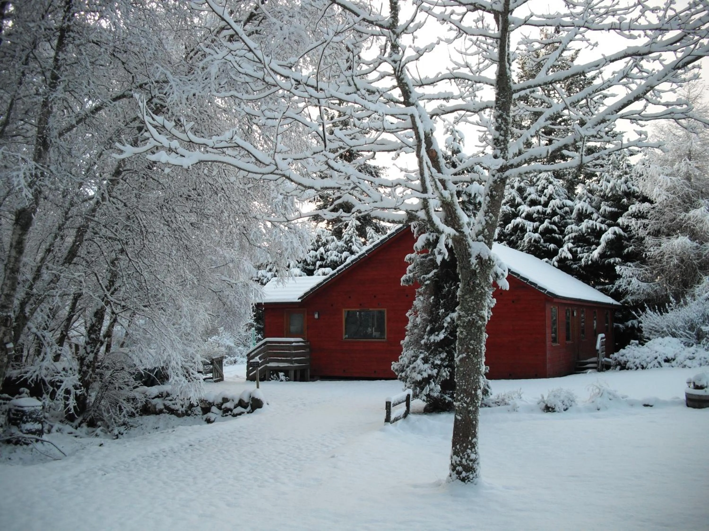 Winter in Torcroft Lodges