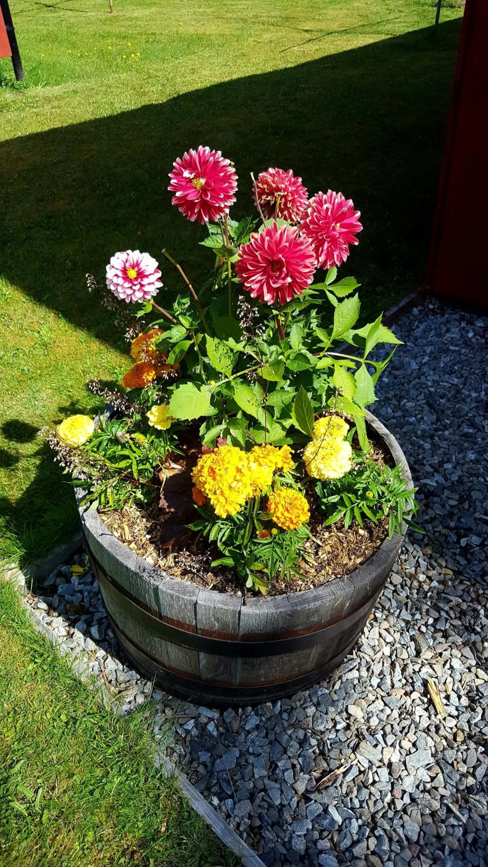 Spring in Torcroft Lodges