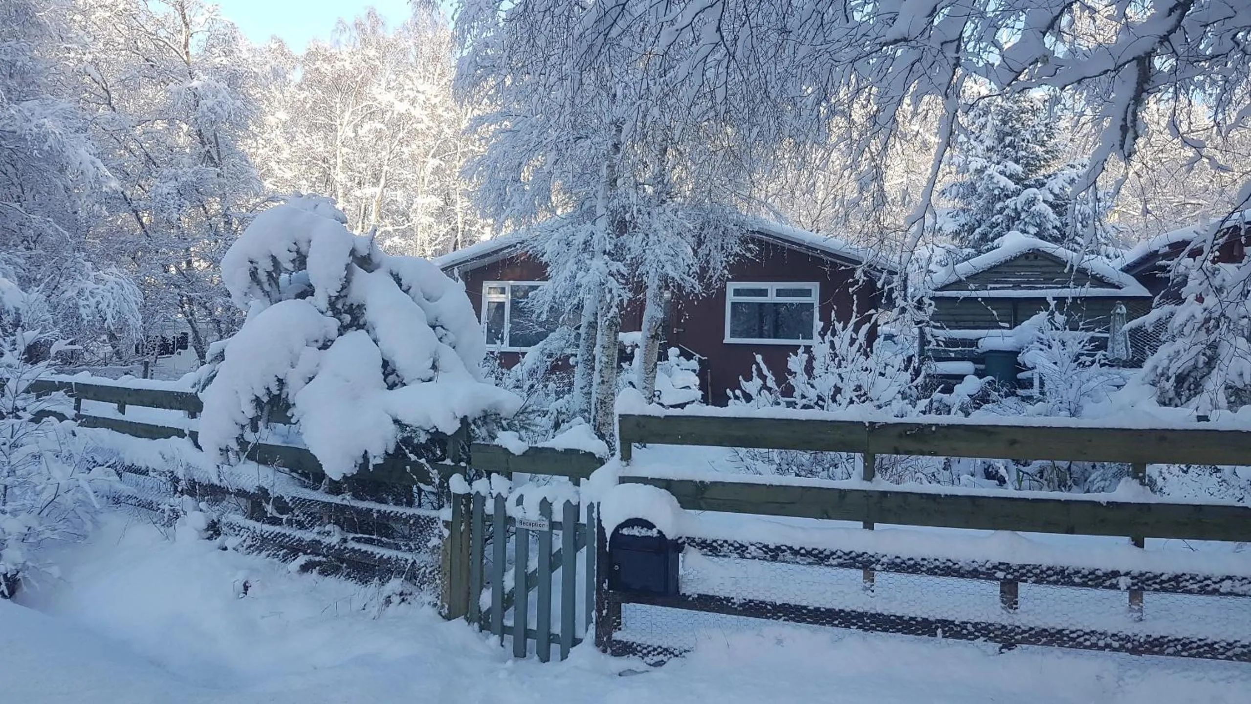 Day in Torcroft Lodges