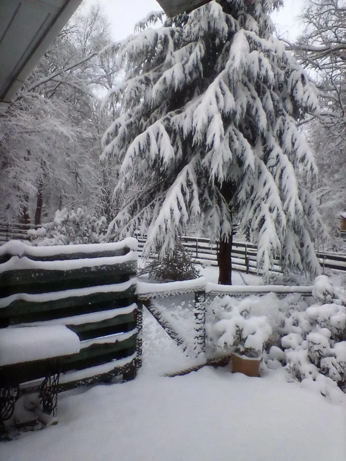 Day in Torcroft Lodges