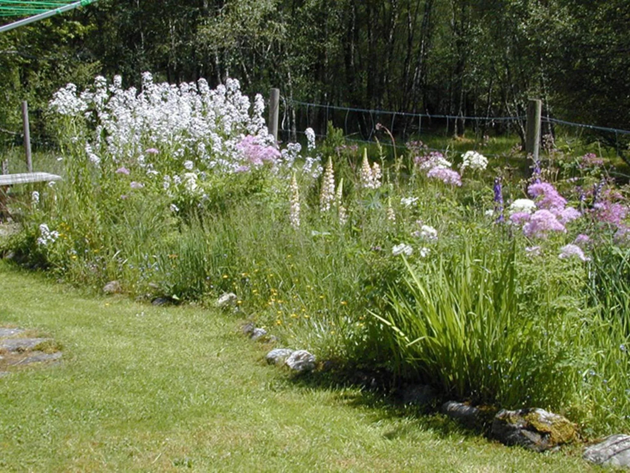 Garden in Torcroft Lodges
