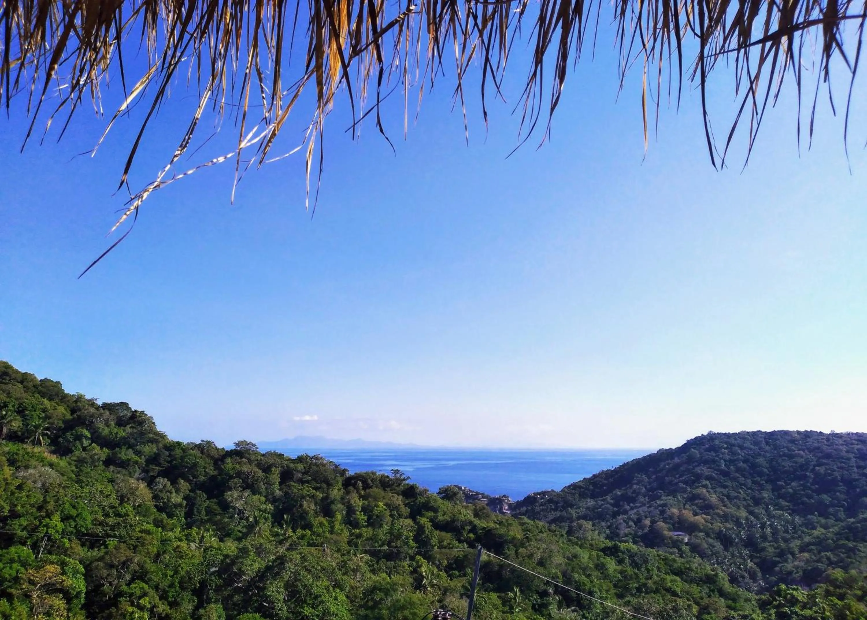 Day in Tree House Bungalows Koh Tao