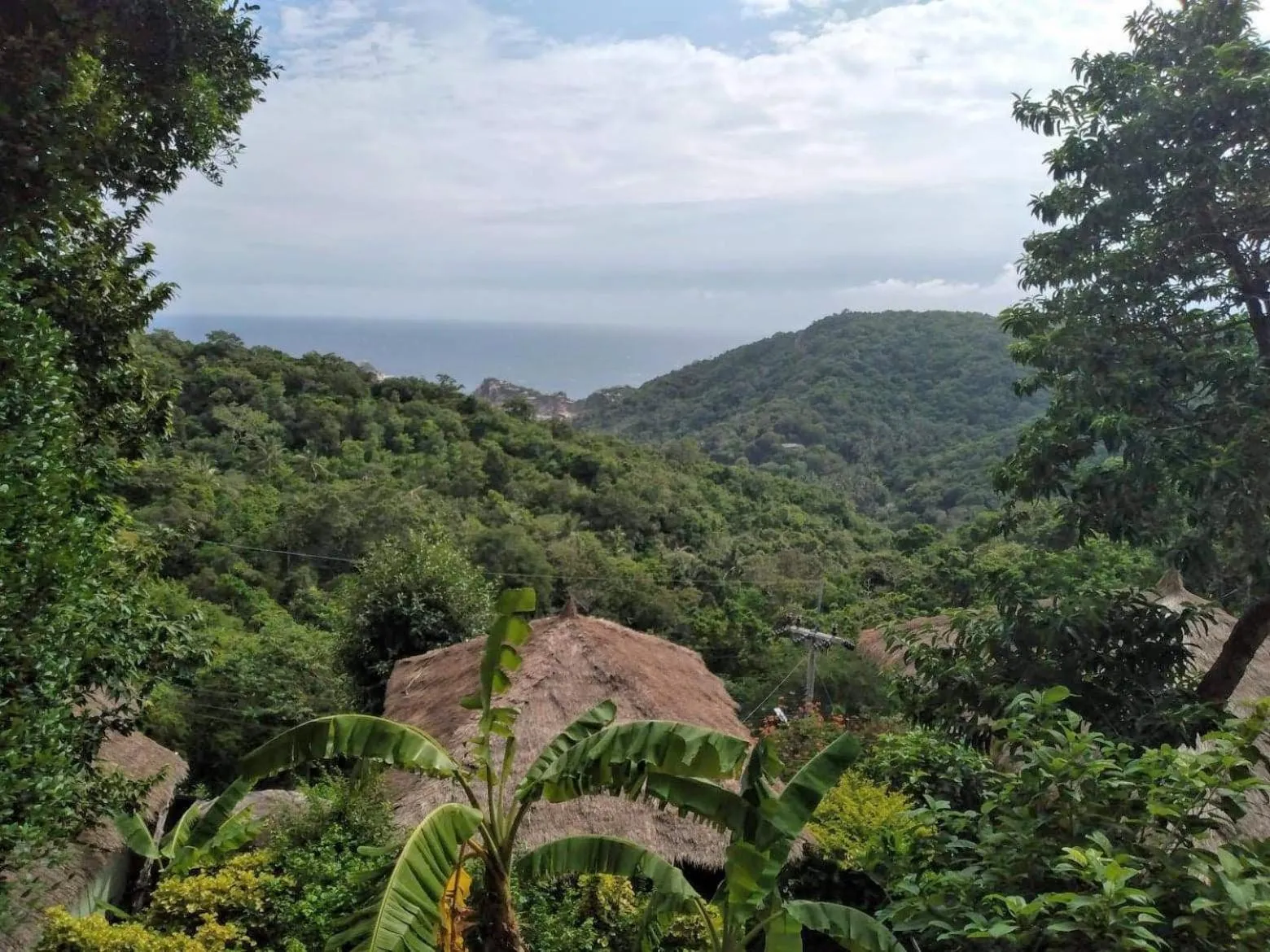 Day in Tree House Bungalows Koh Tao