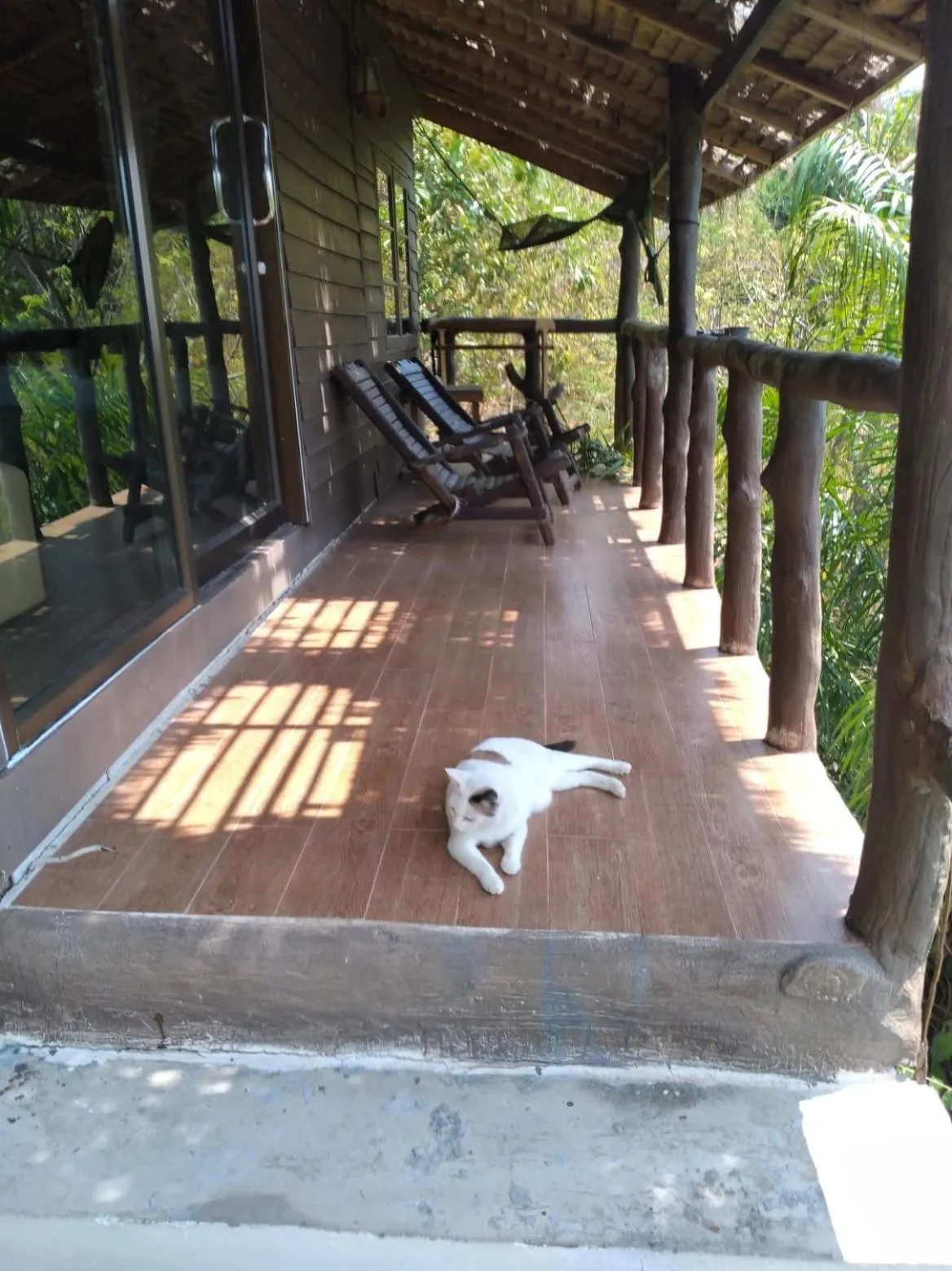 Day in Tree House Bungalows Koh Tao