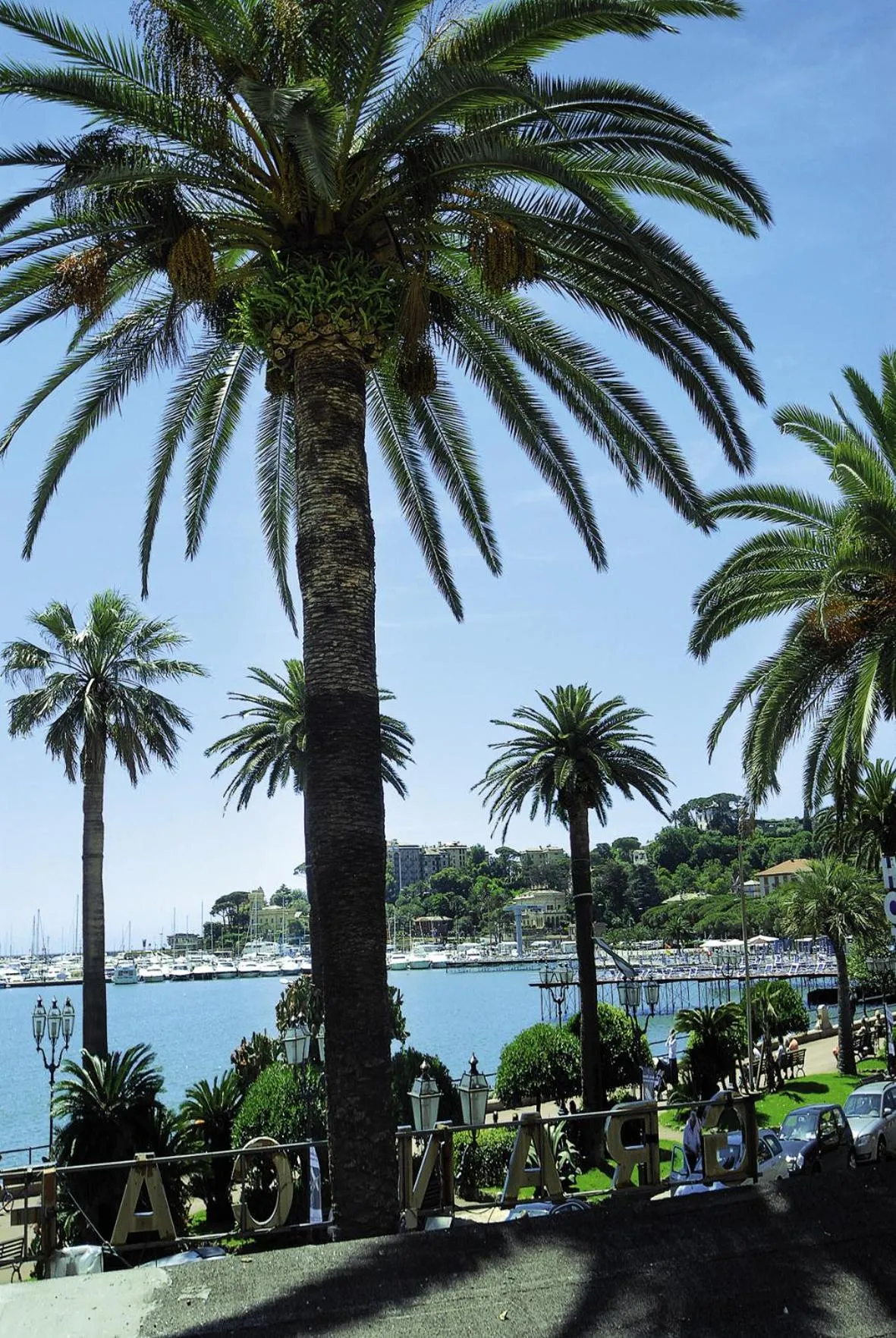 River view in Hotel Miro'