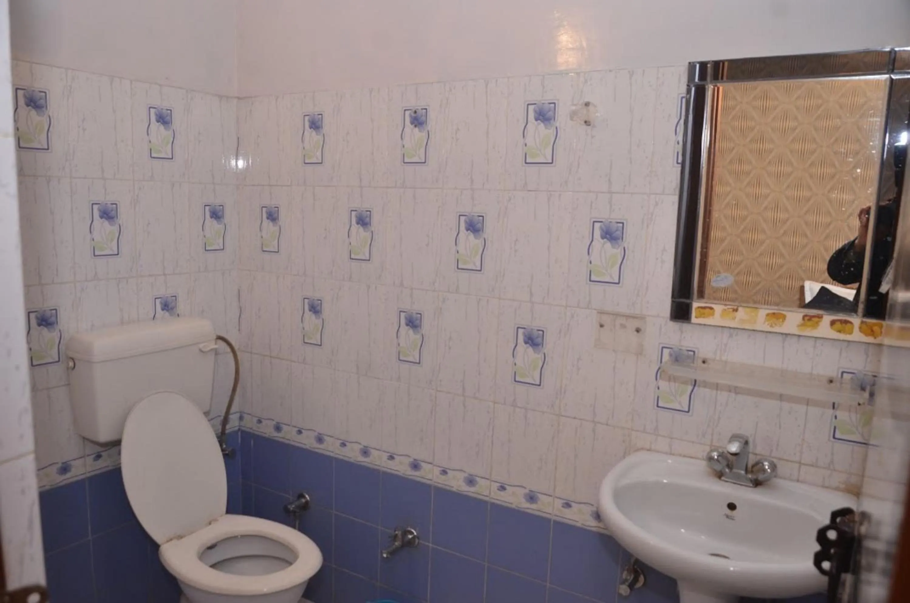 Toilet, Bathroom in Hotel Europe Plaza