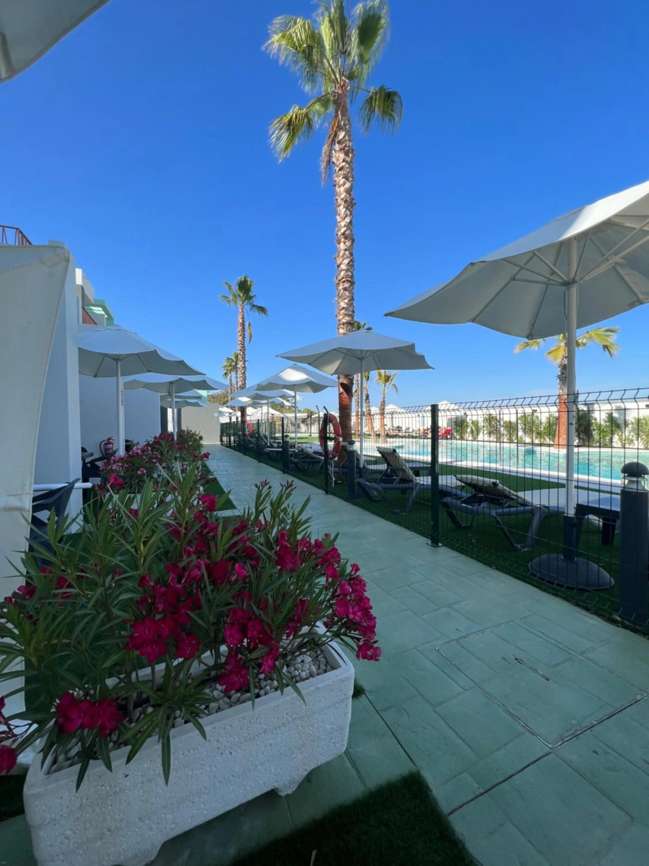 Balcony/Terrace in ON The Residence