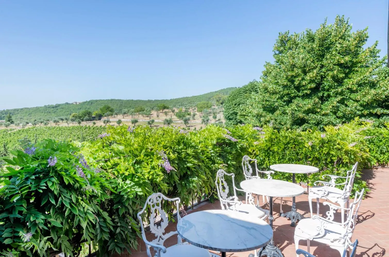 Balcony/Terrace in Relais Vignale & Spa