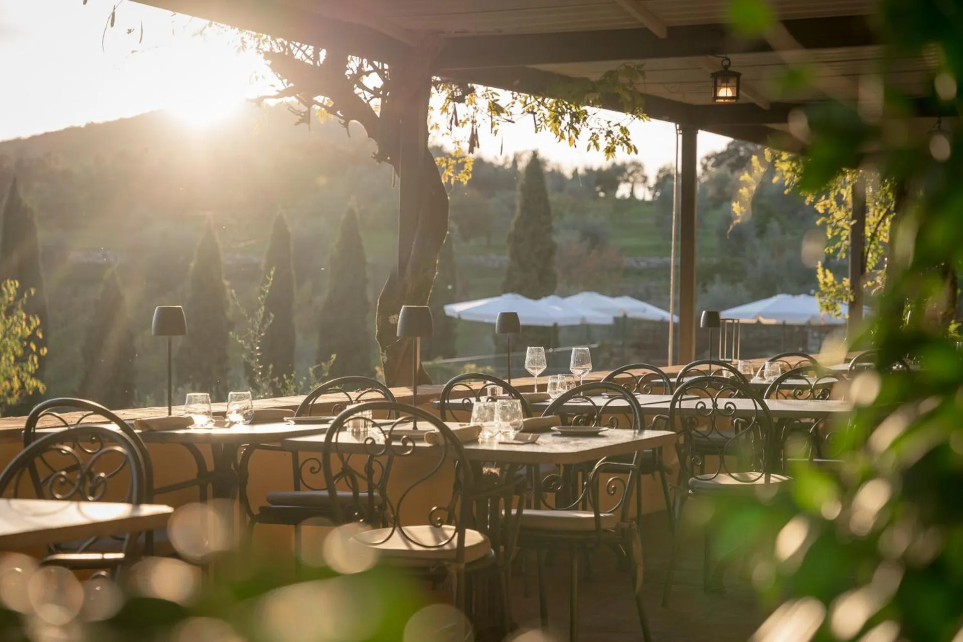 Restaurant/places to eat in Relais Vignale & Spa