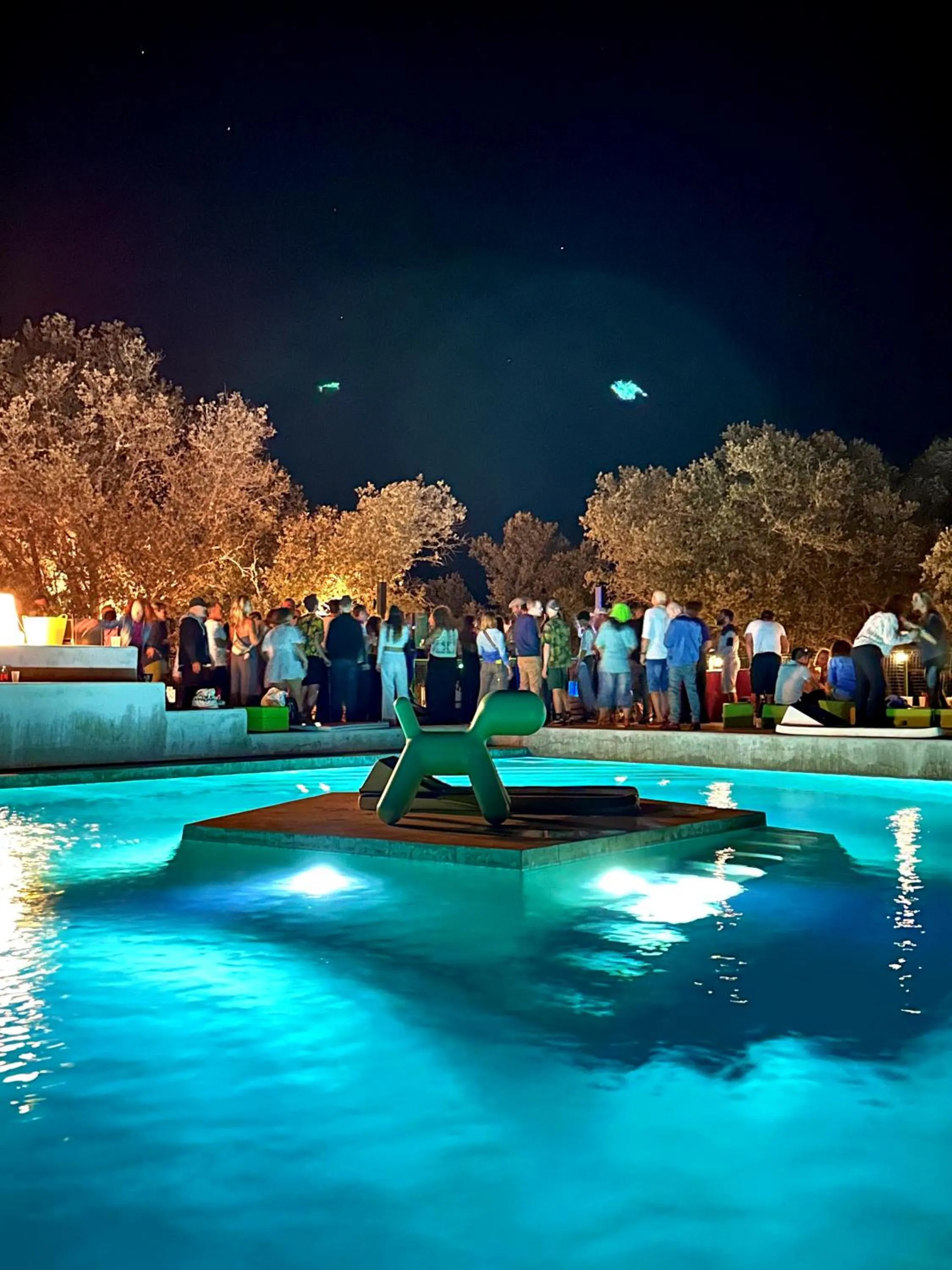 Swimming pool in Domaine La Ferme HI bride