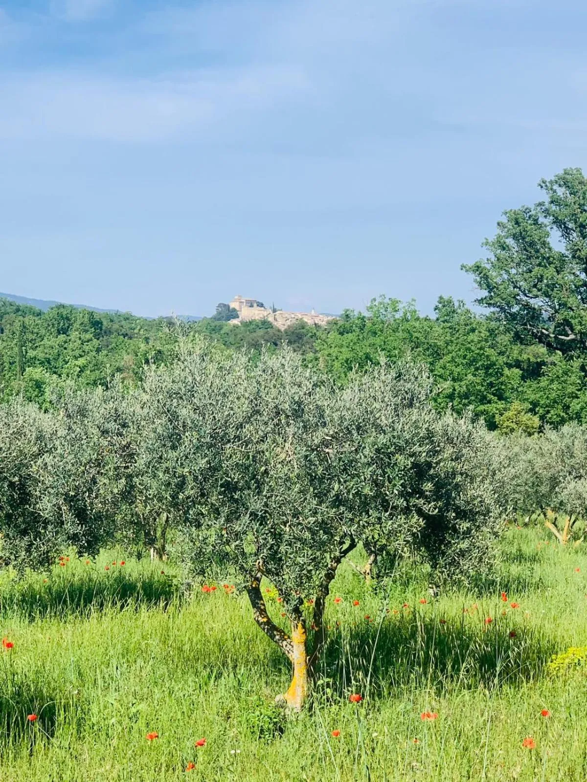 Natural landscape in Domaine La Ferme HI bride