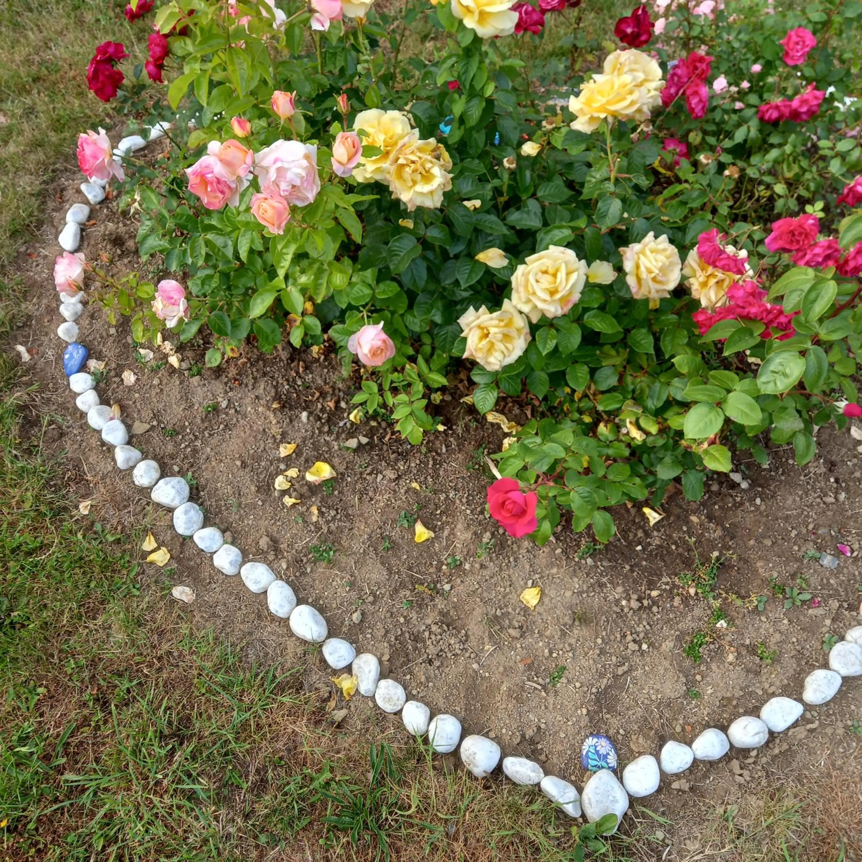 Chambres d'Hôtes Couleurs d'Elvine