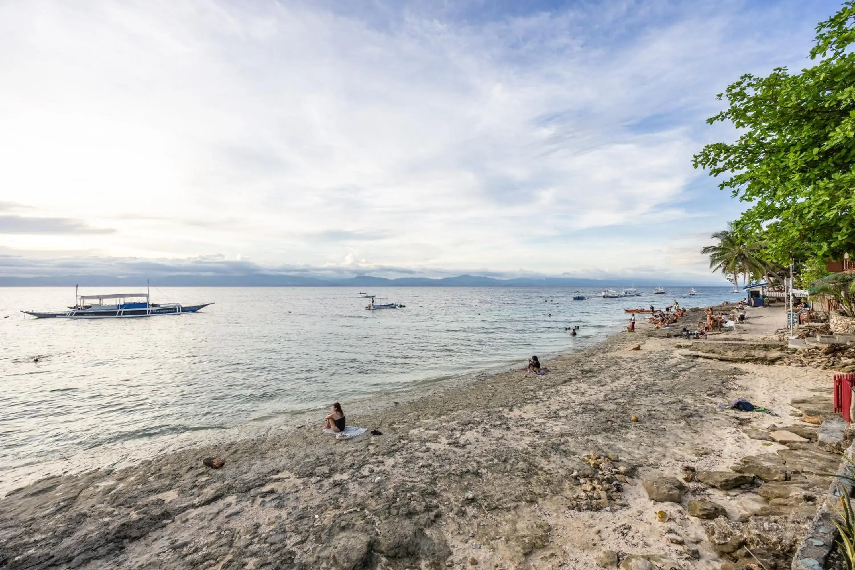 Badi's Place Badi's Place