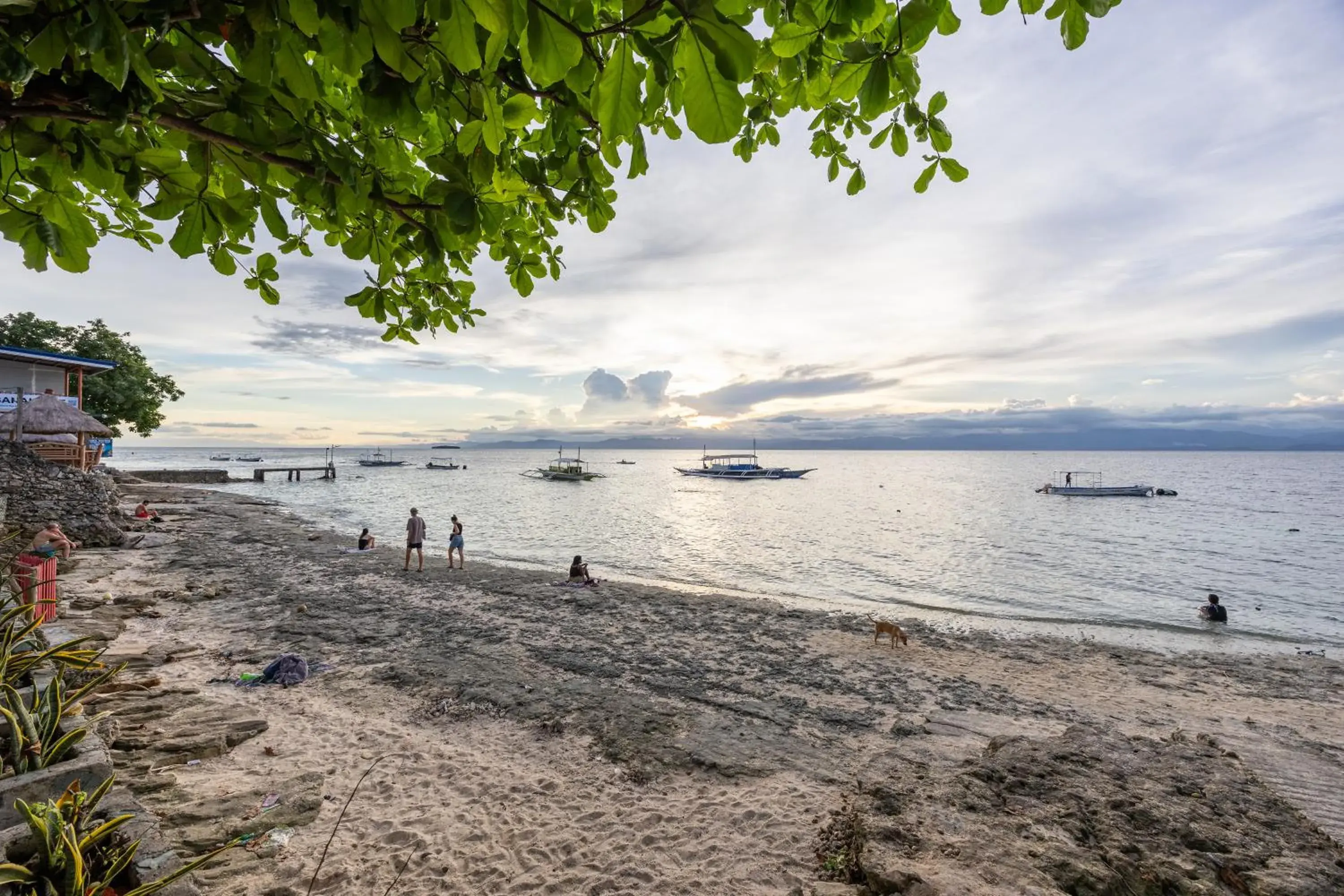 Badi's Place Badi's Place