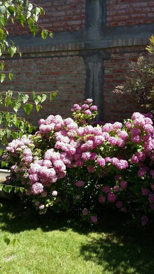 Hosteria Casa de Paula