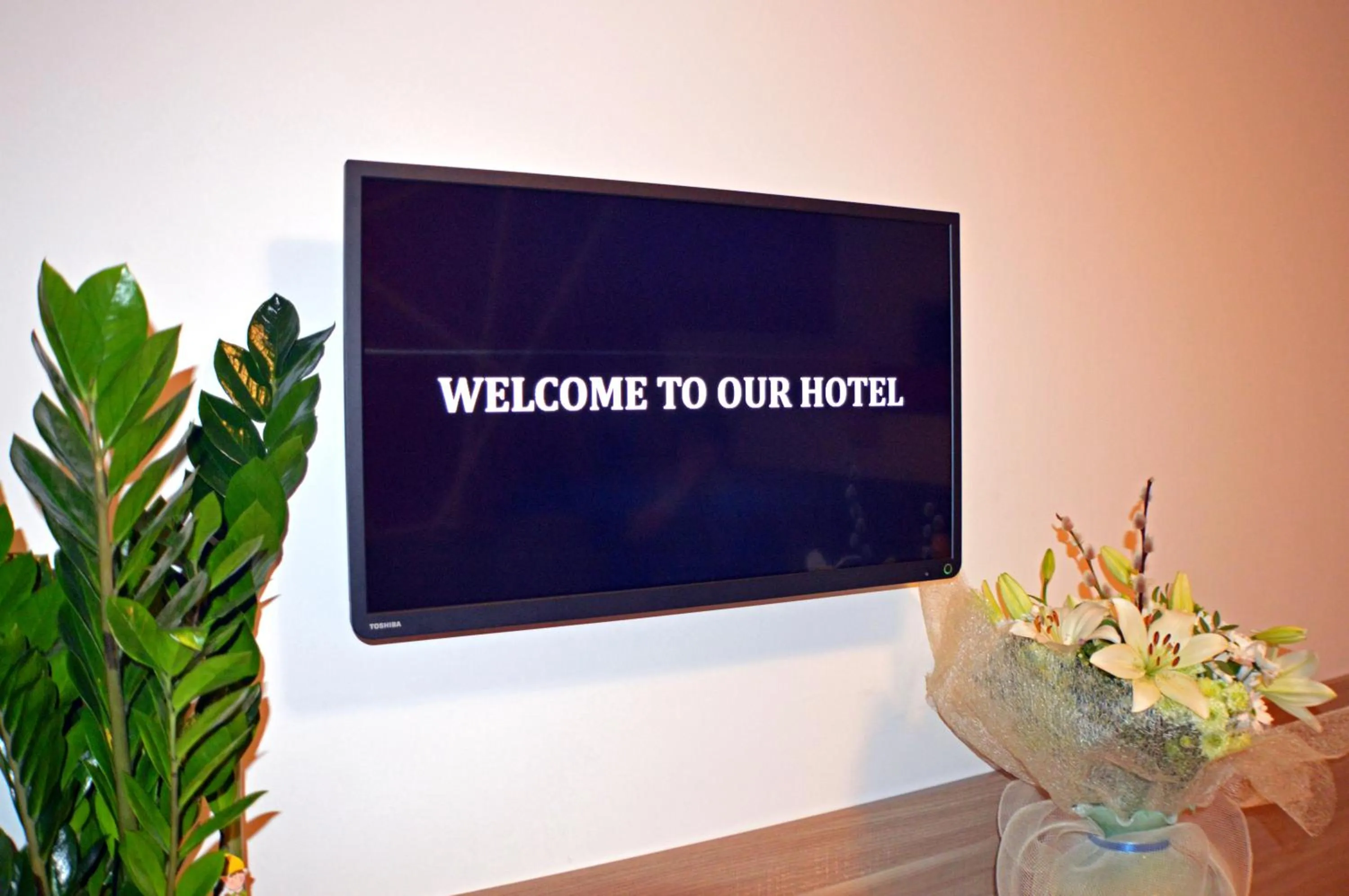 TV and multimedia in Sempione Hotel Malpensa