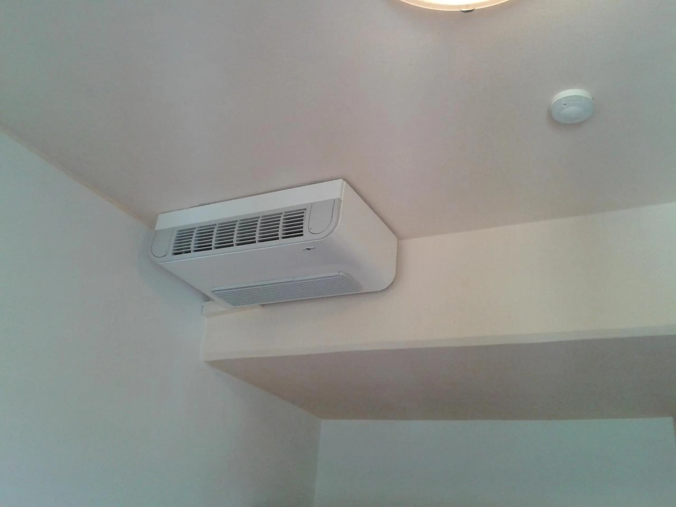 Area and facilities in Hotel Garden Ristorante