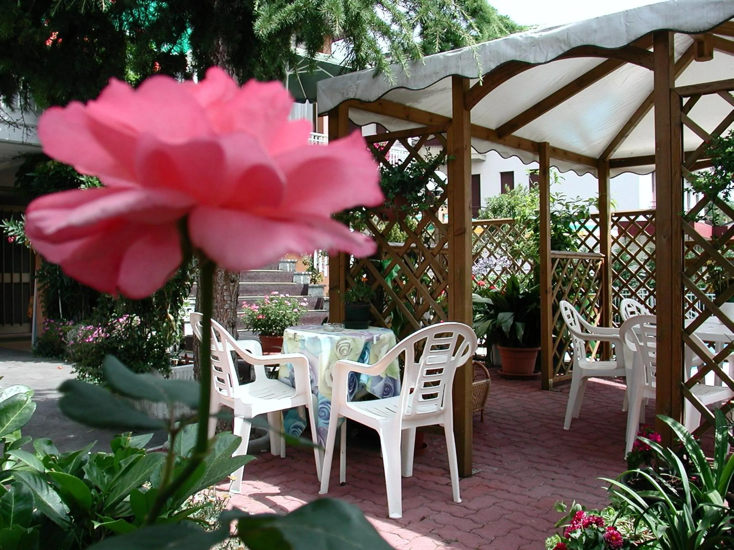 Garden in Hotel Garden Ristorante