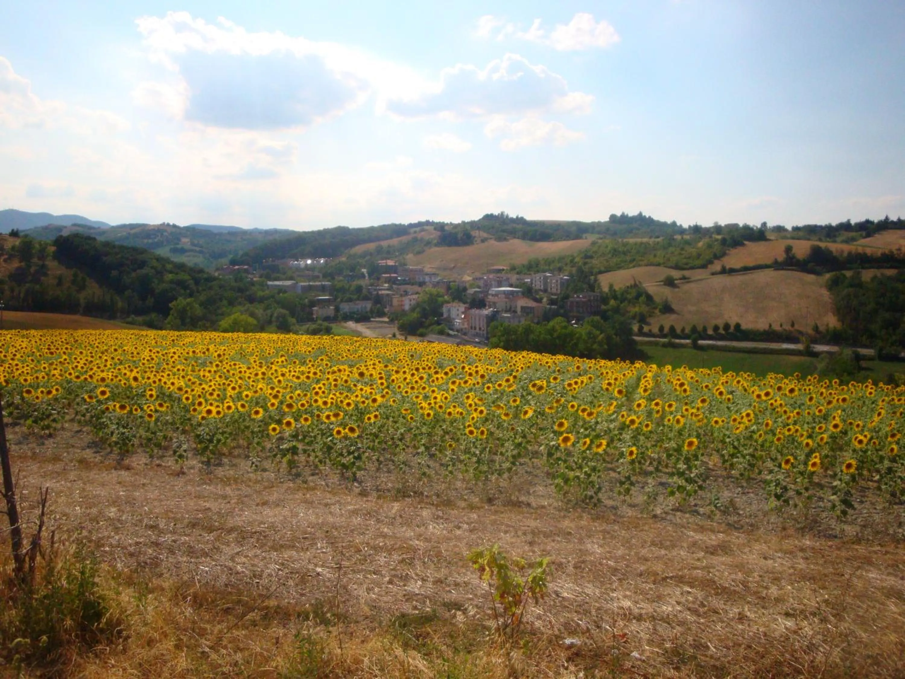 Natural landscape in Hotel Garden Ristorante