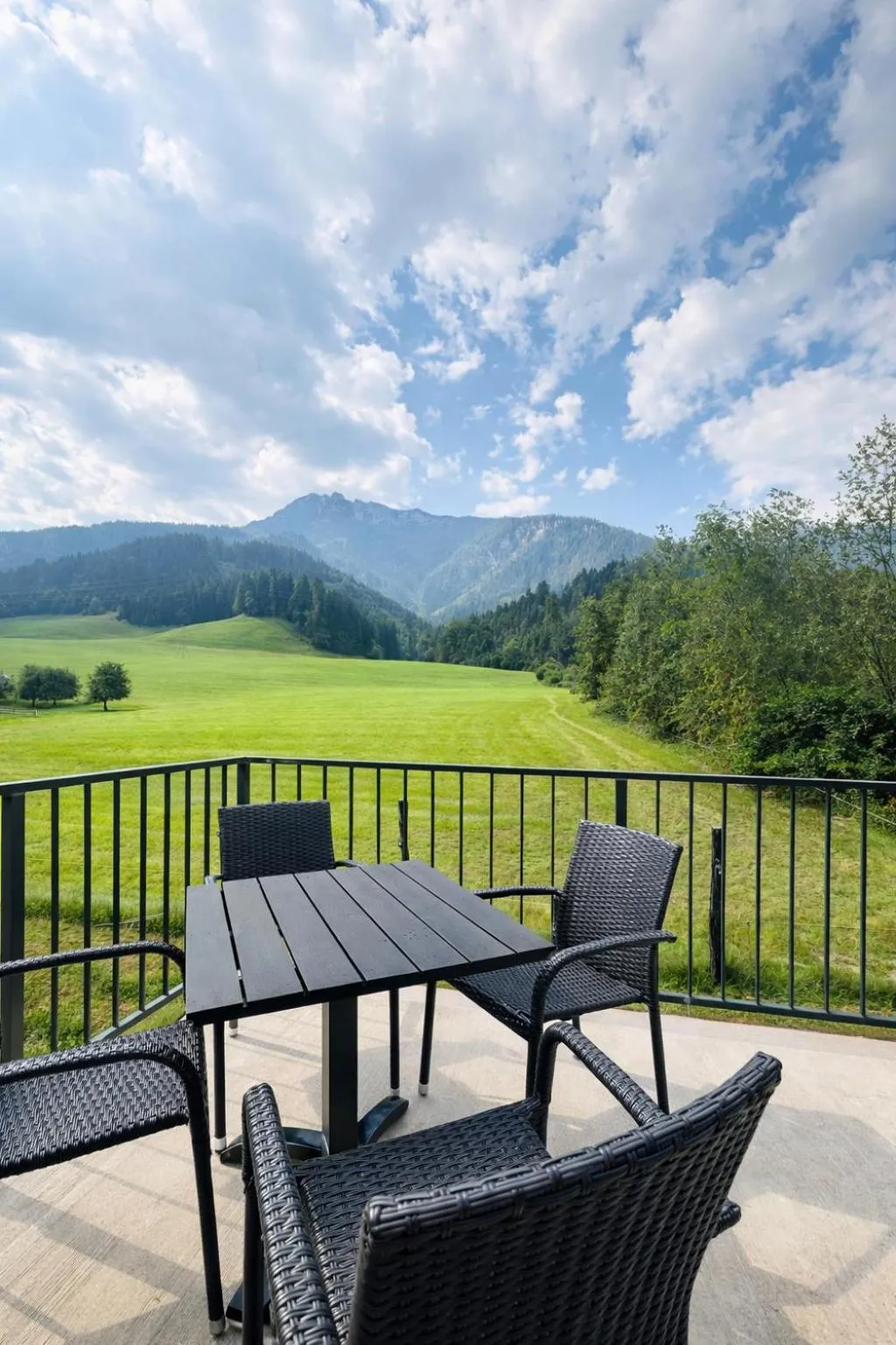 Patio in Da Alois - Alpine Premium Apartments
