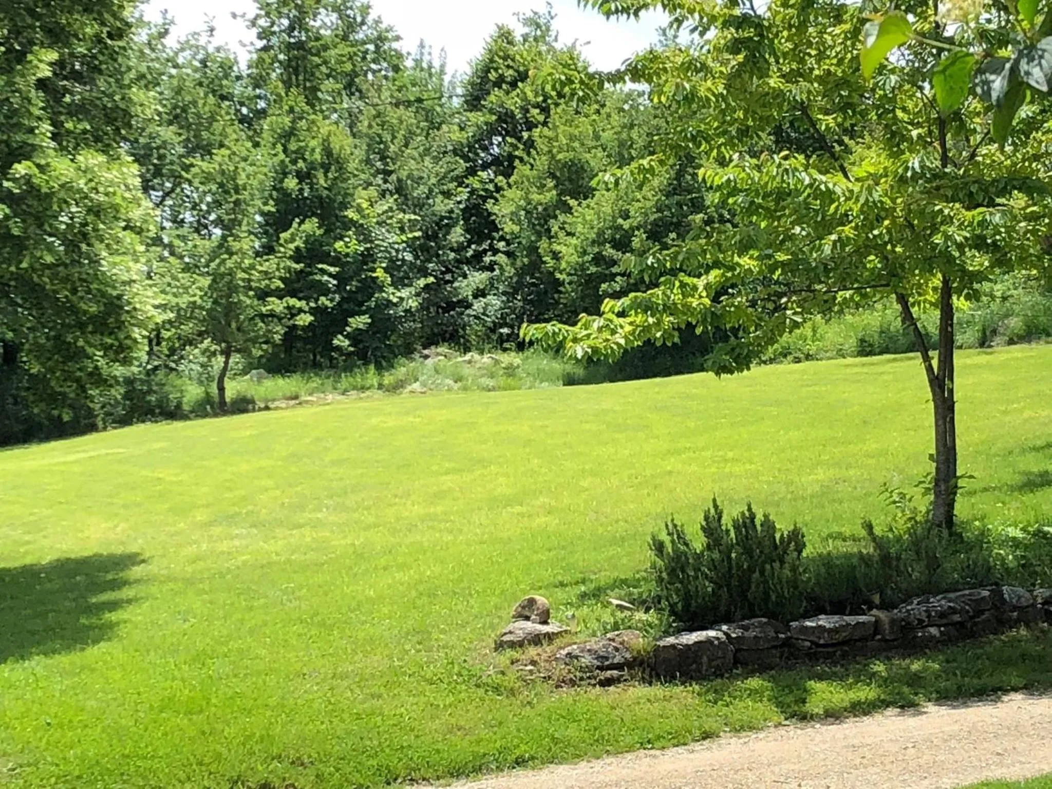 Garden in Weekend en Provence