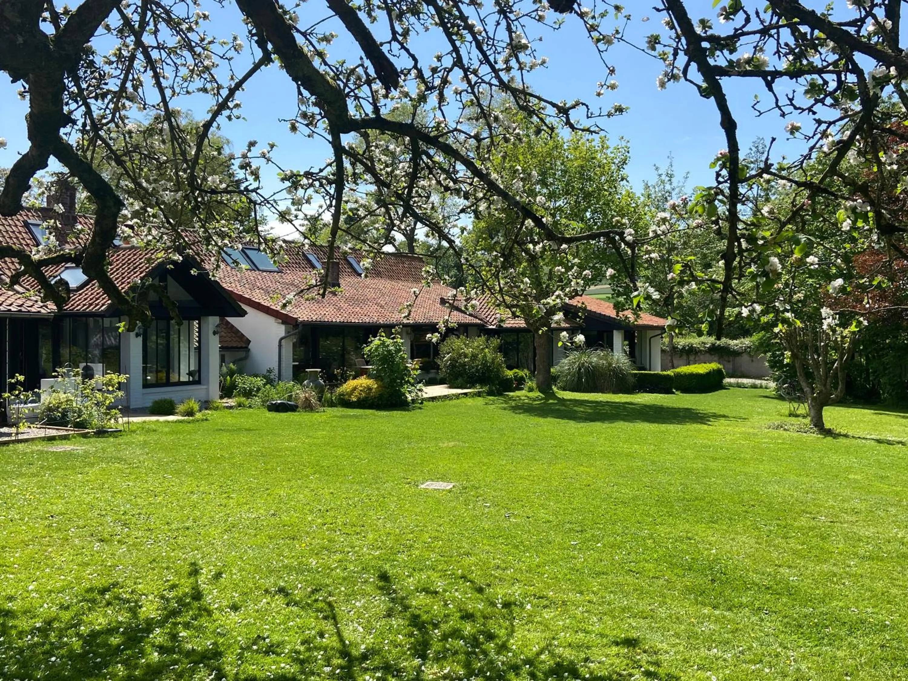 Natural landscape in Un matin de mai