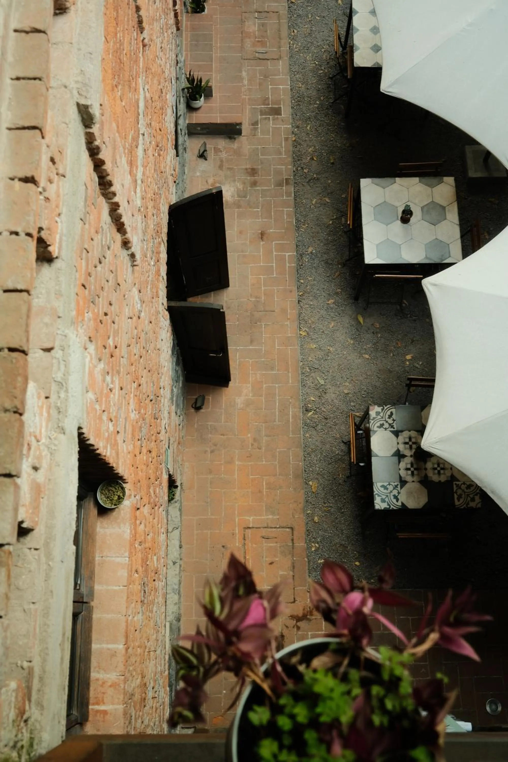 View (from property/room) in Mina 32 - Coyoacan