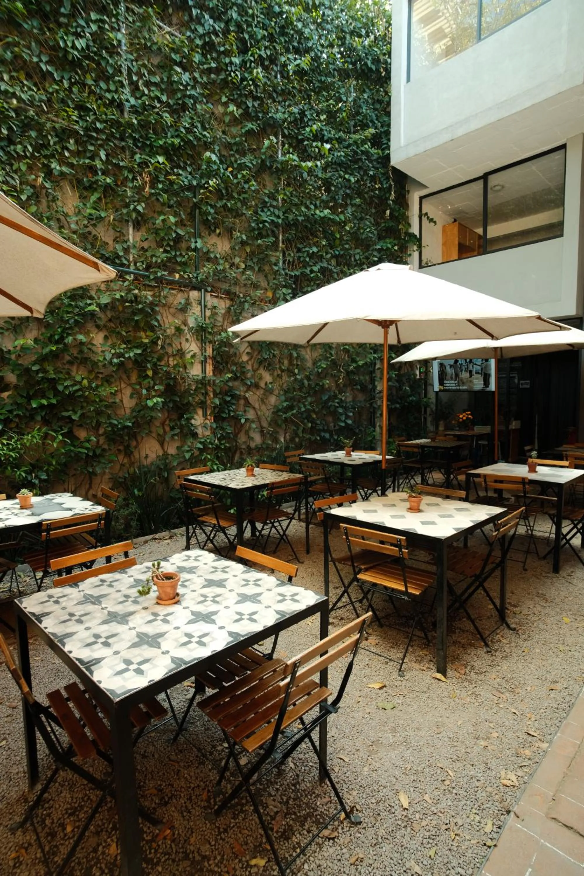 Restaurant/places to eat in Mina 32 - Coyoacan