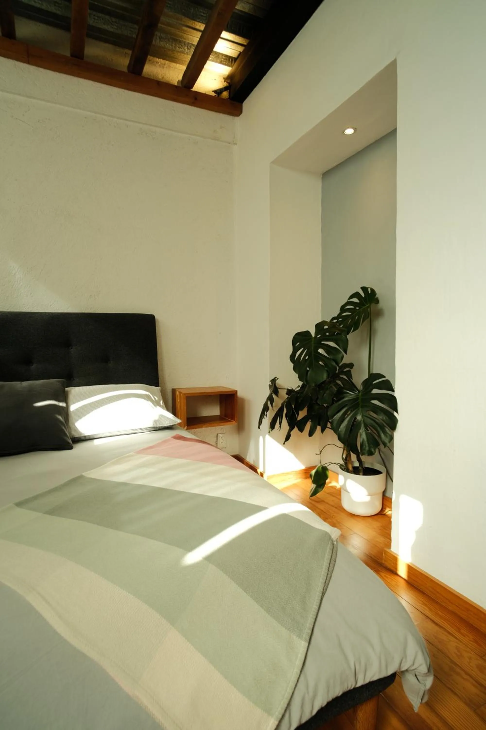 Bed in Mina 32 - Coyoacan