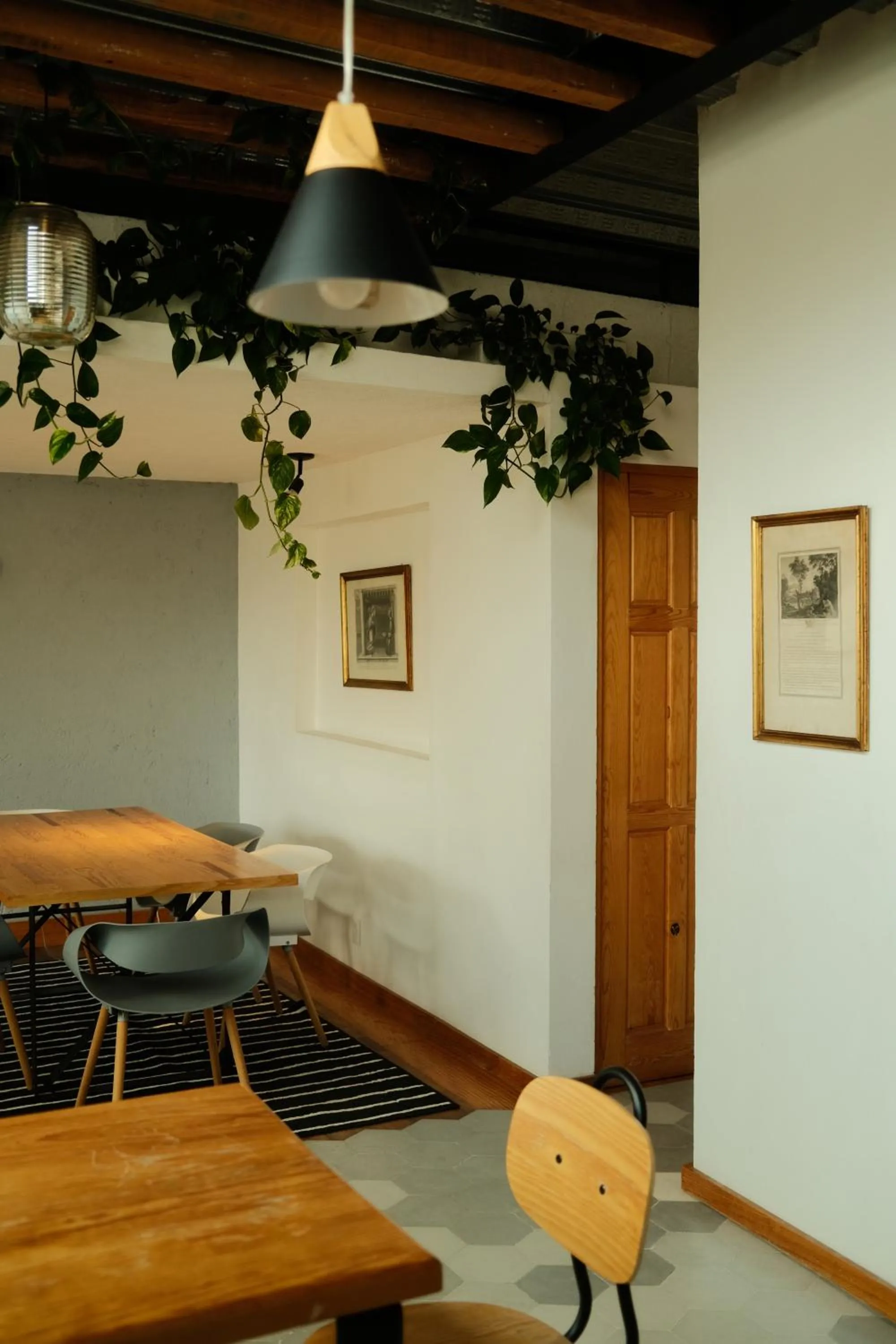 Bed in Mina 32 - Coyoacan