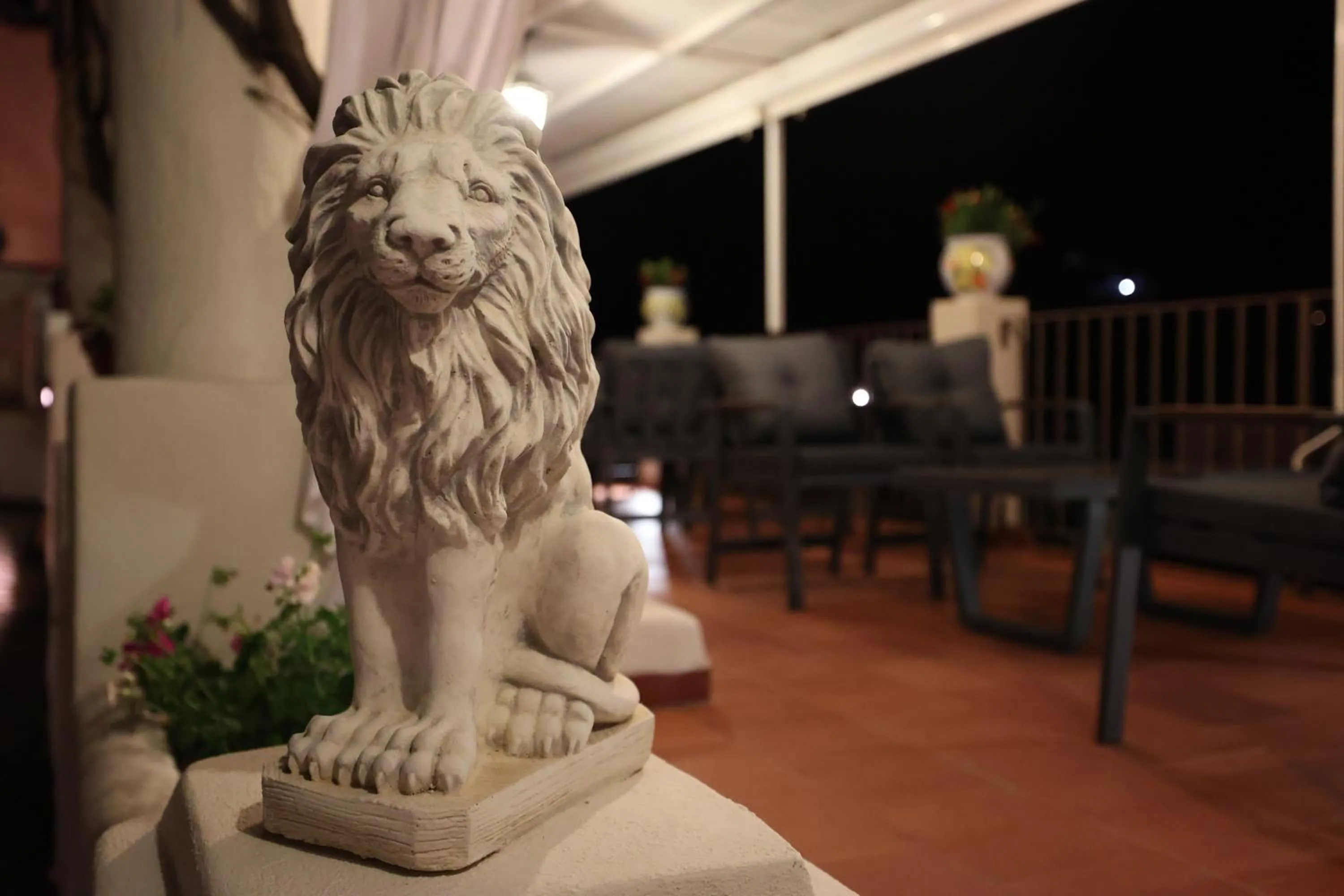 Hotel Villa Cute - HVC