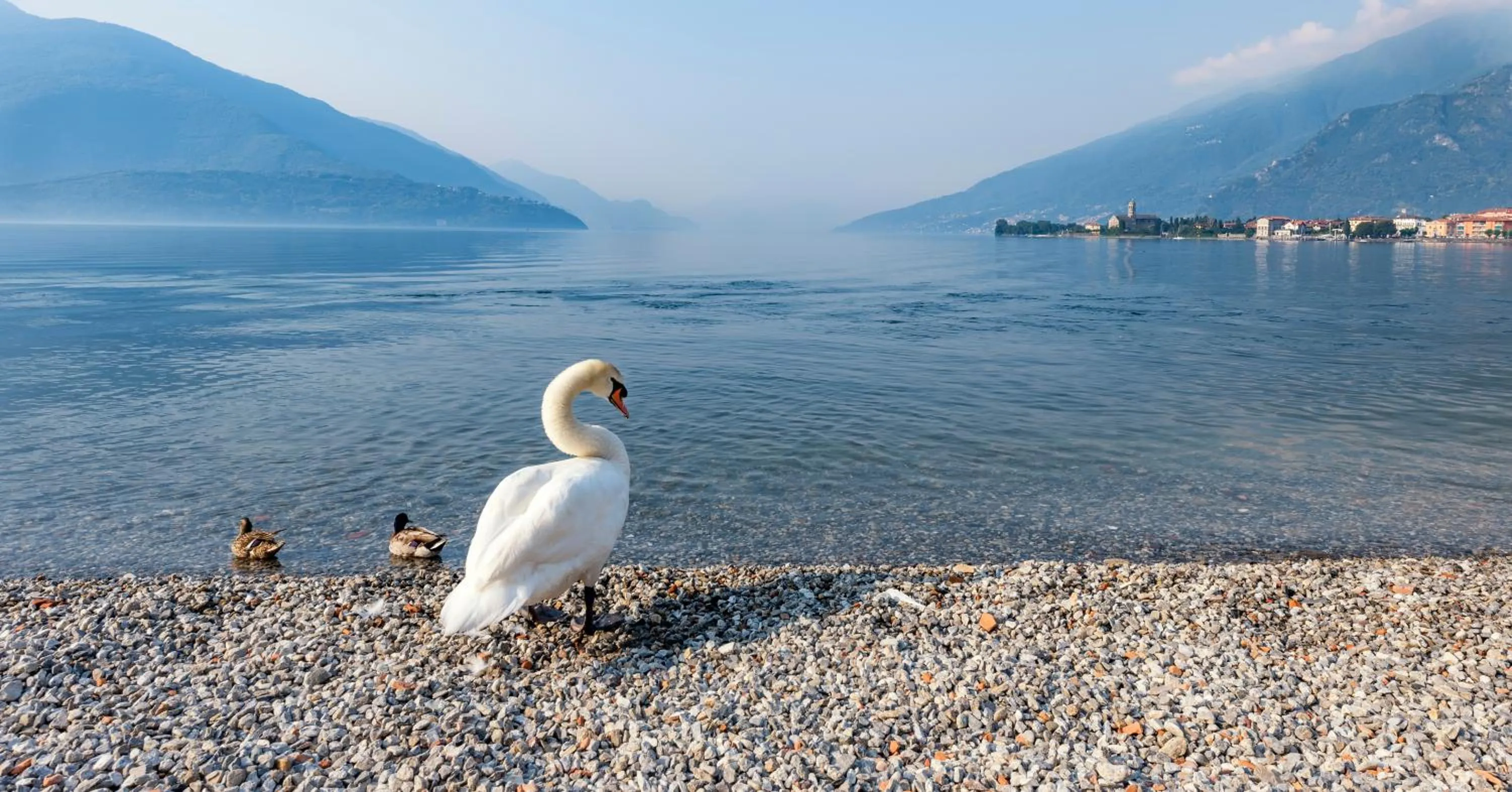 Beach in Hotel Regina