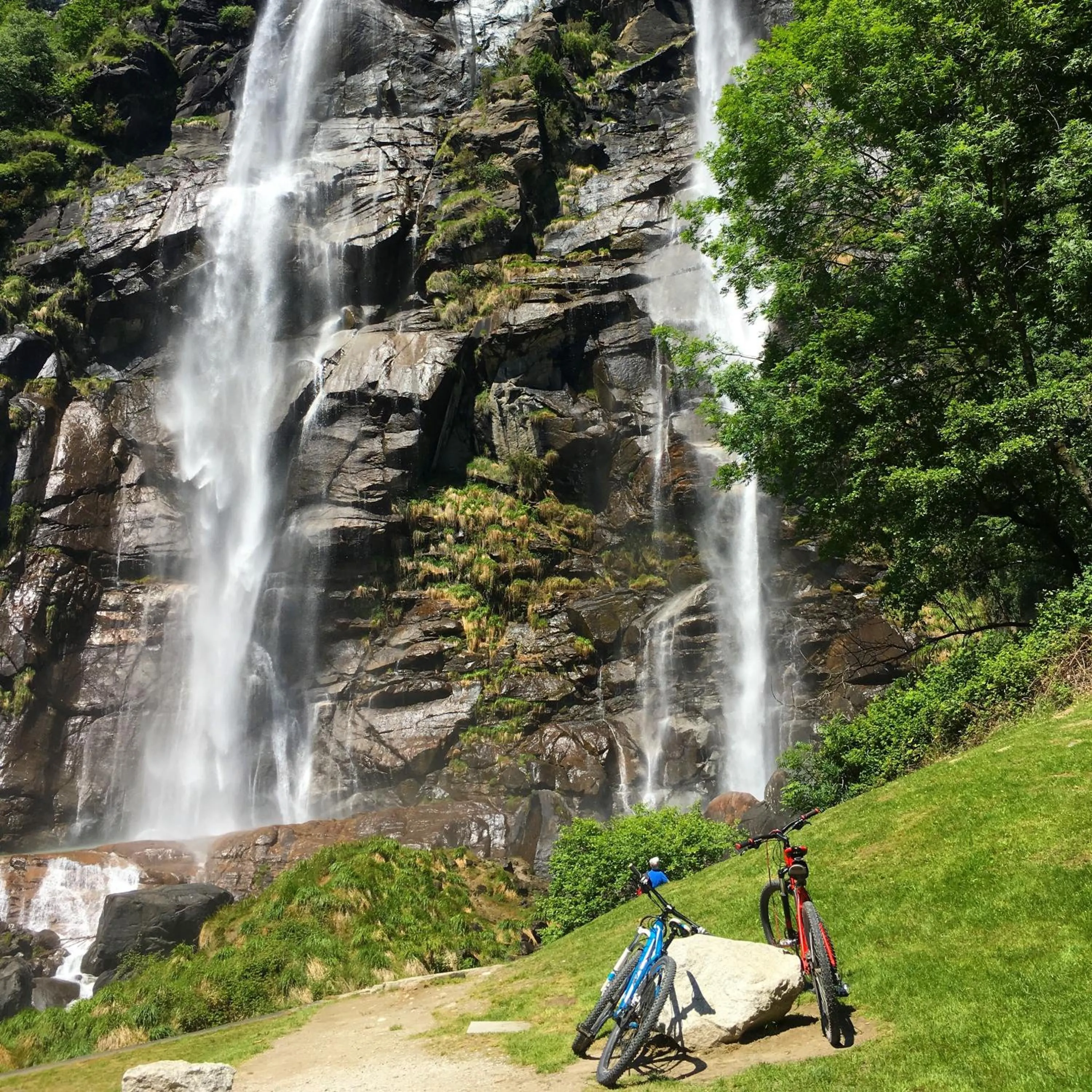 Natural landscape in Hotel Regina
