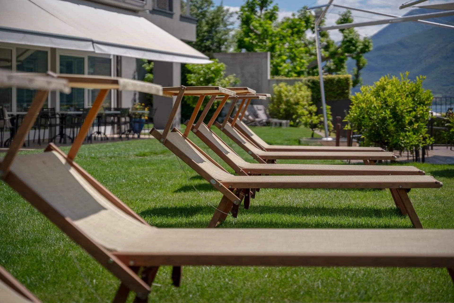 Garden in Hotel Regina