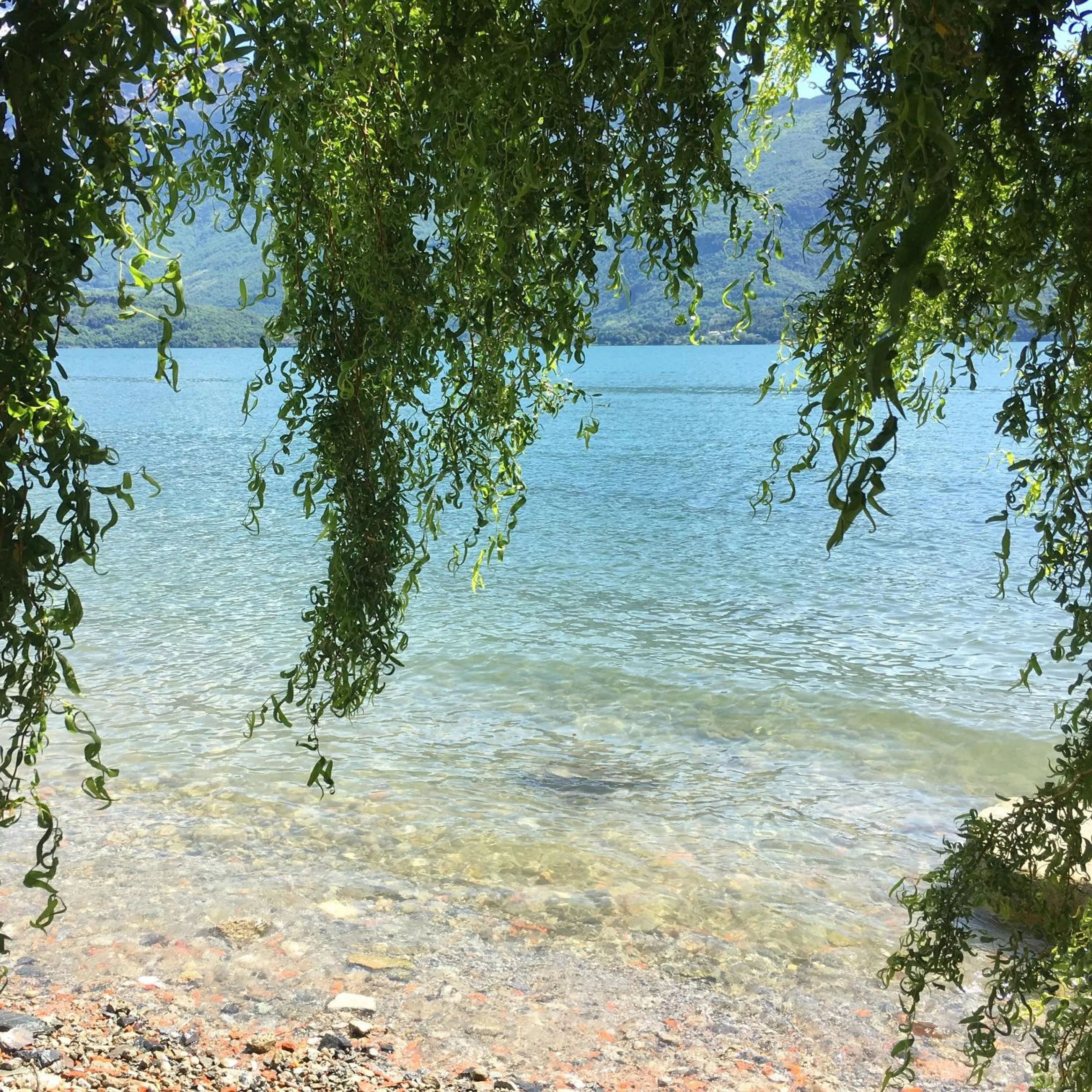 Natural landscape in Hotel Regina