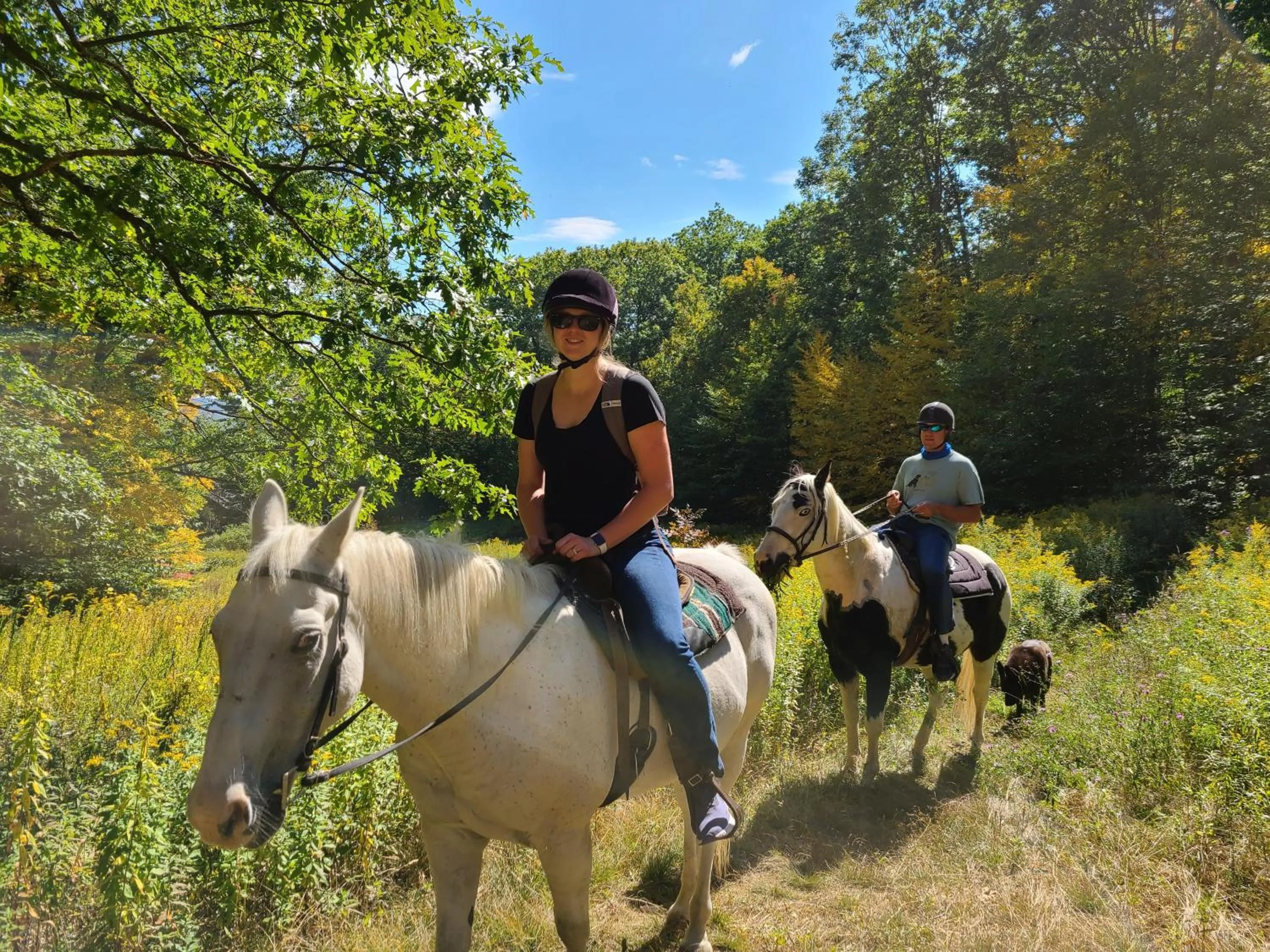 Horse-riding in Berkshires Untold
