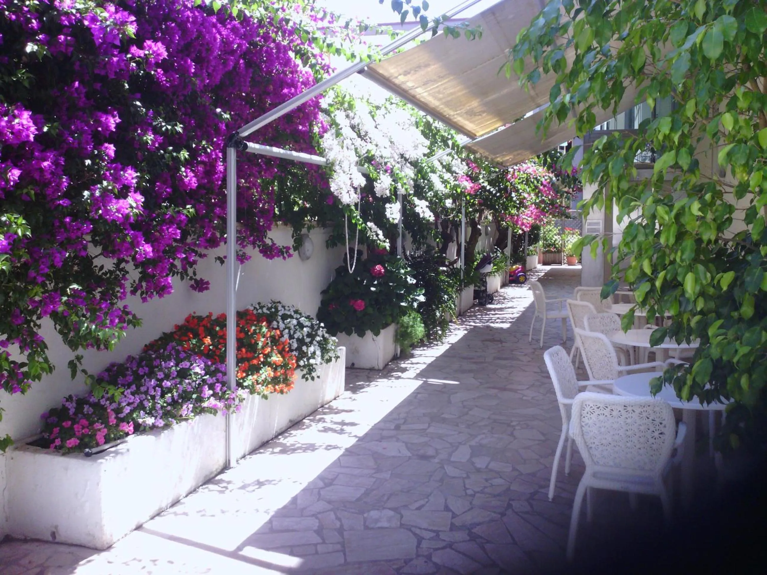 Patio in Hotel Mayor