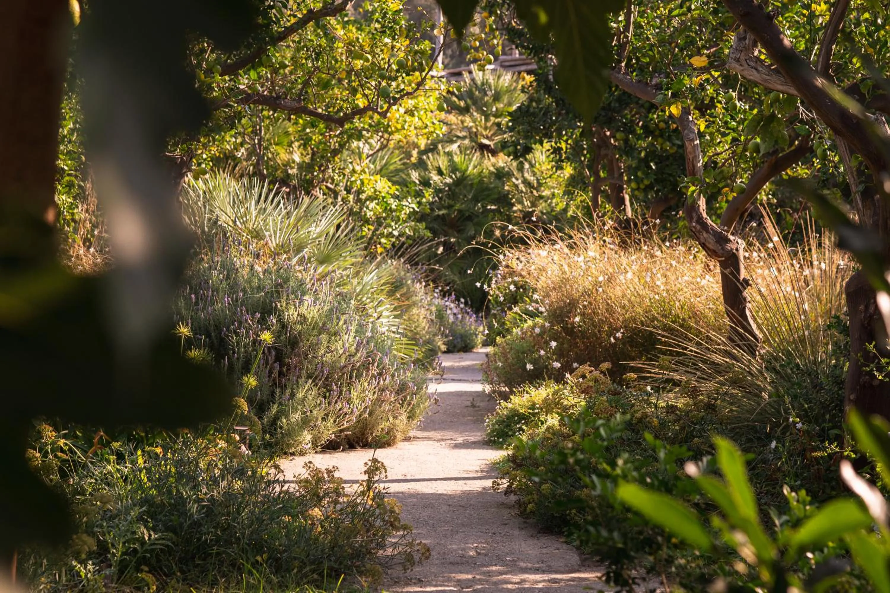 Garden in Relais Regina Giovanna