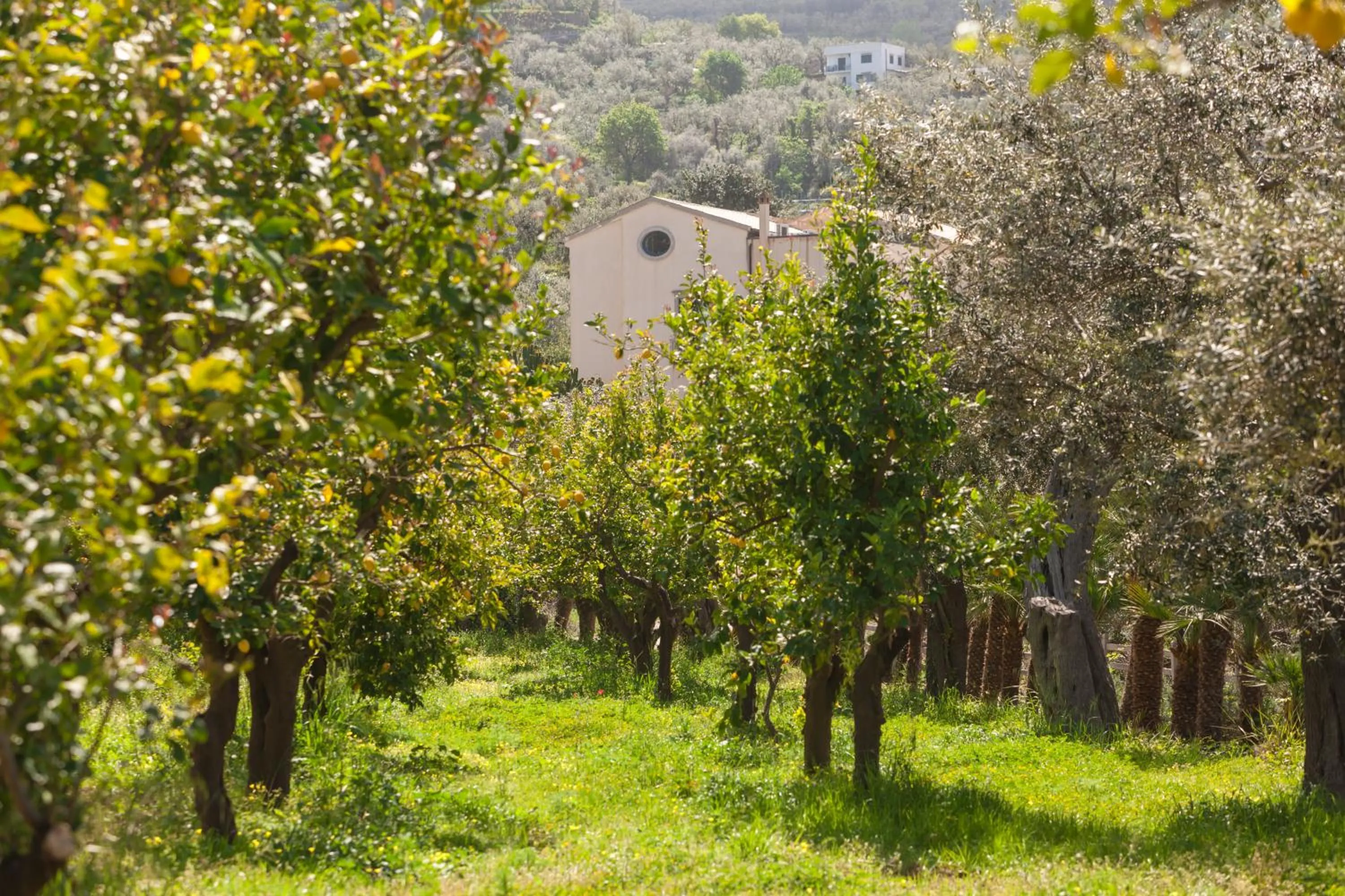 Garden in Relais Regina Giovanna