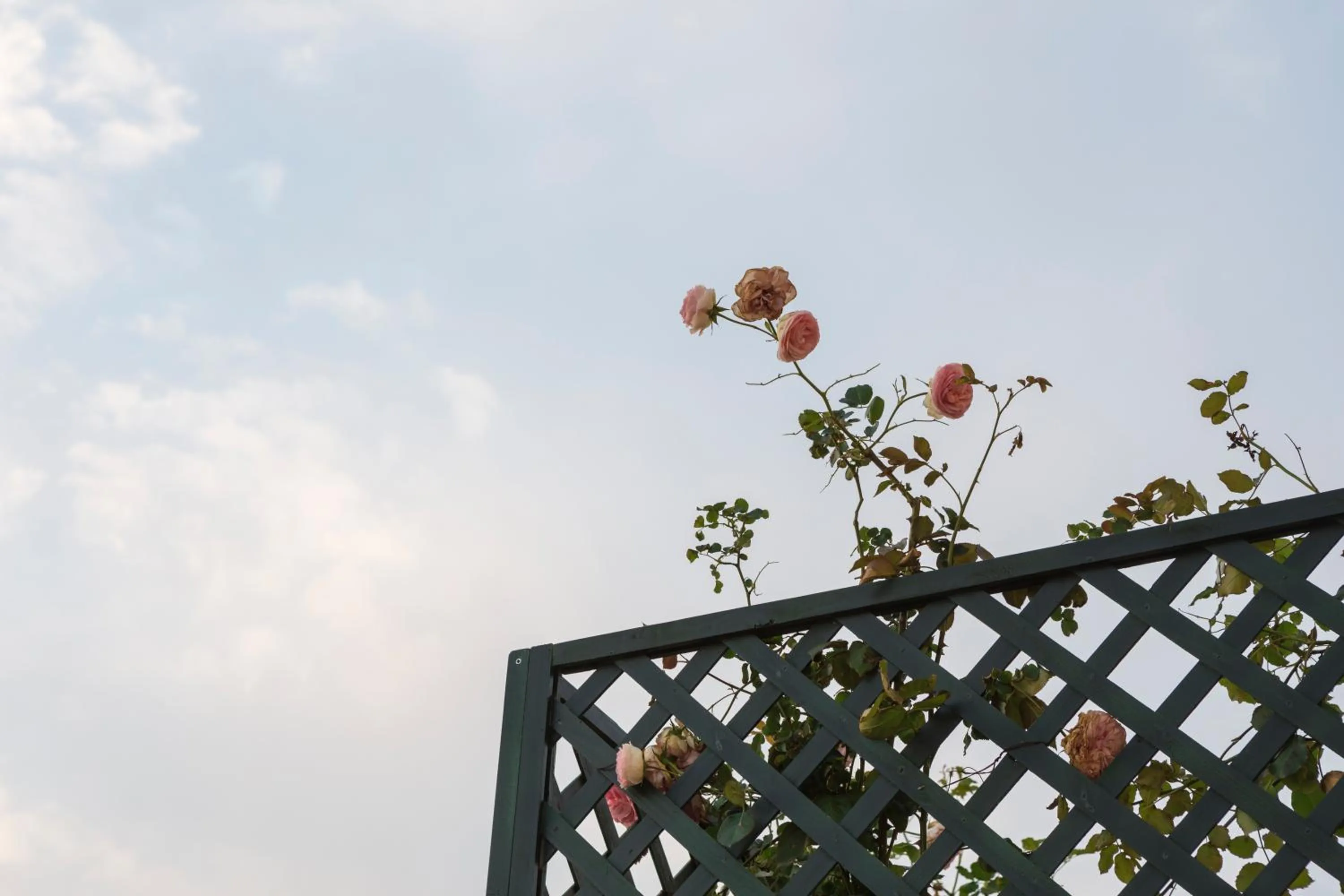 Property building in Relais Regina Giovanna