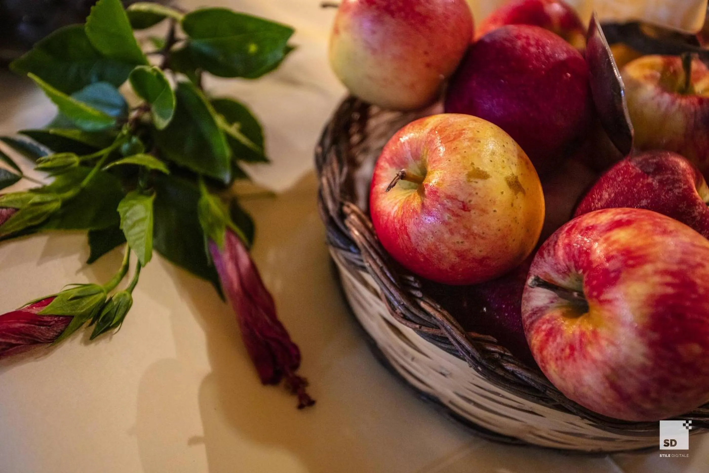 Tonicello Hotel Resort & SPA