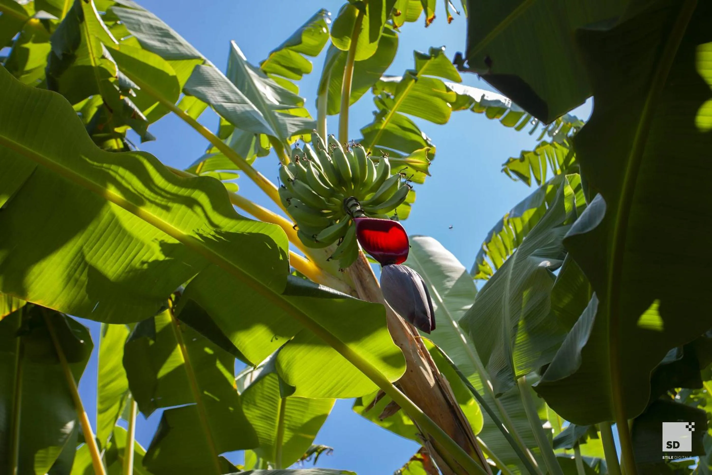 Garden in Tonicello Hotel Resort & SPA