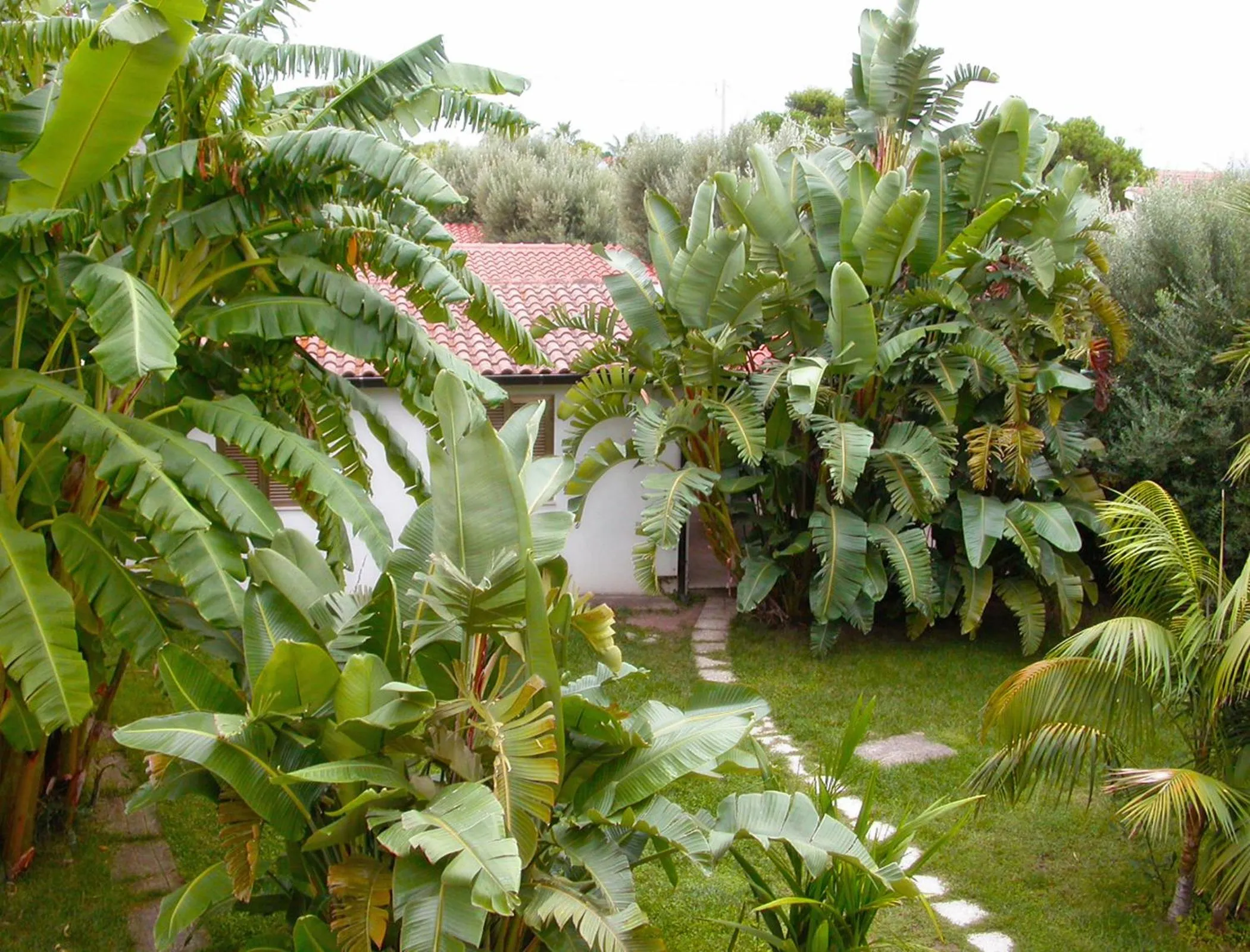 Garden in Tonicello Hotel Resort & SPA