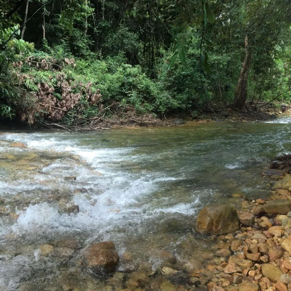 Natural landscape in Green Garden Bungalows